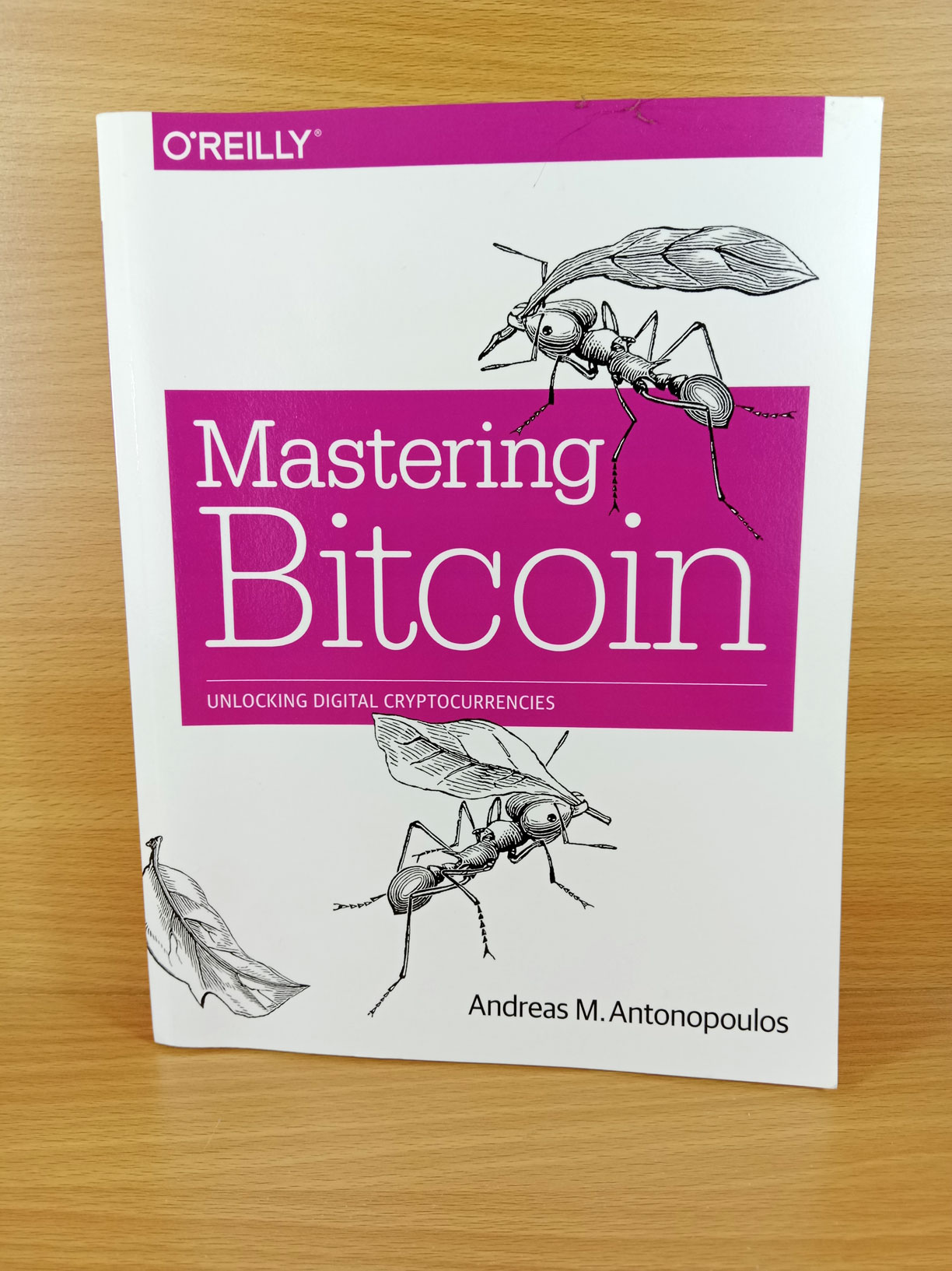 Mastering Bitcoin, Unlocking Digital Cryptocurrencies