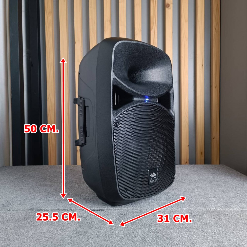 PROEUROTECH NE-10P active speaker ตู้ลำโพง มีแอมป์ในตัว 10 นิ้ว โปรยูโรเทค ตู้ลำโพง ตู้ลำโพงบลูทูธ NE 10P NE10P เอไอ-ไพศาล