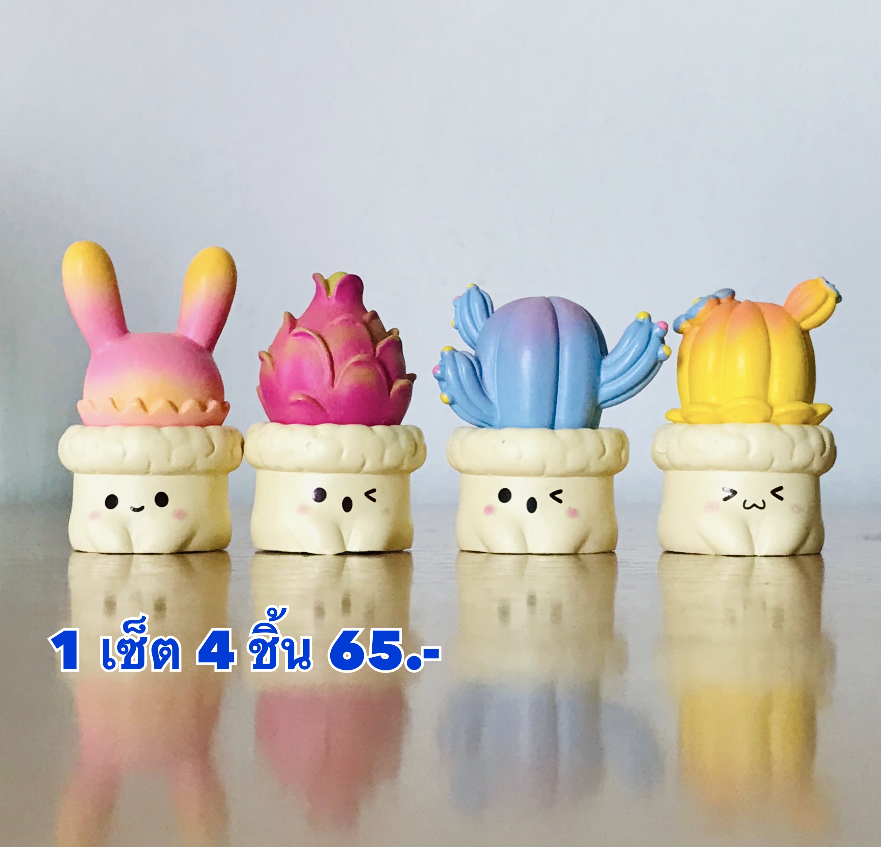 แคสตัส 4 ชิ้น