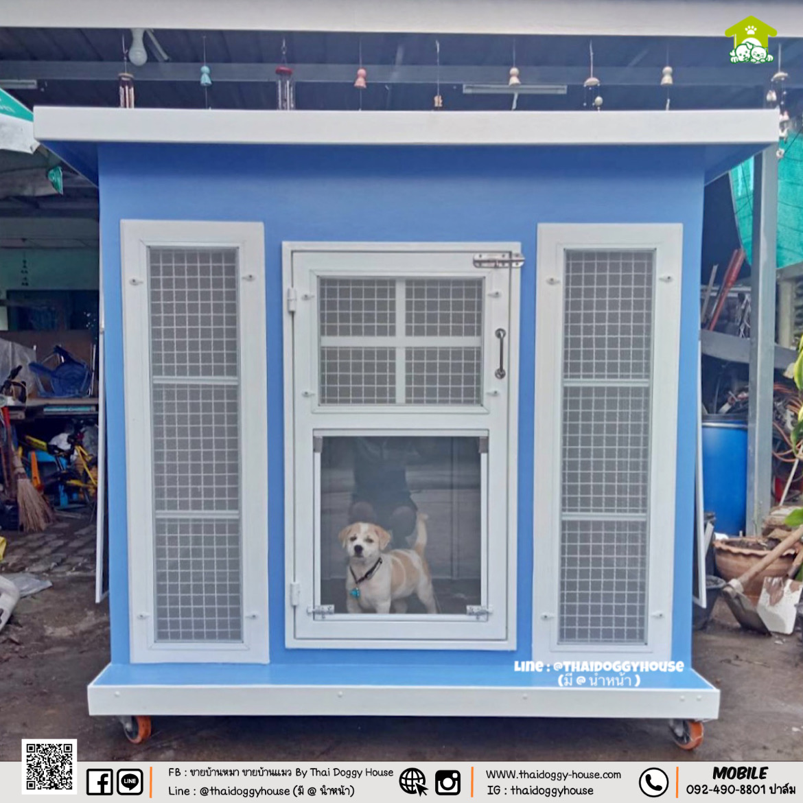 บ้านหมา บ้านแมว " 𝐁𝐎𝐗 𝐒𝐓𝐘𝐋𝐄 𝐁𝐘 𝐓𝐇𝐀𝐈 𝐃𝐎𝐆𝐆𝐘 𝐇𝐎𝐔𝐒𝐄 " &#x