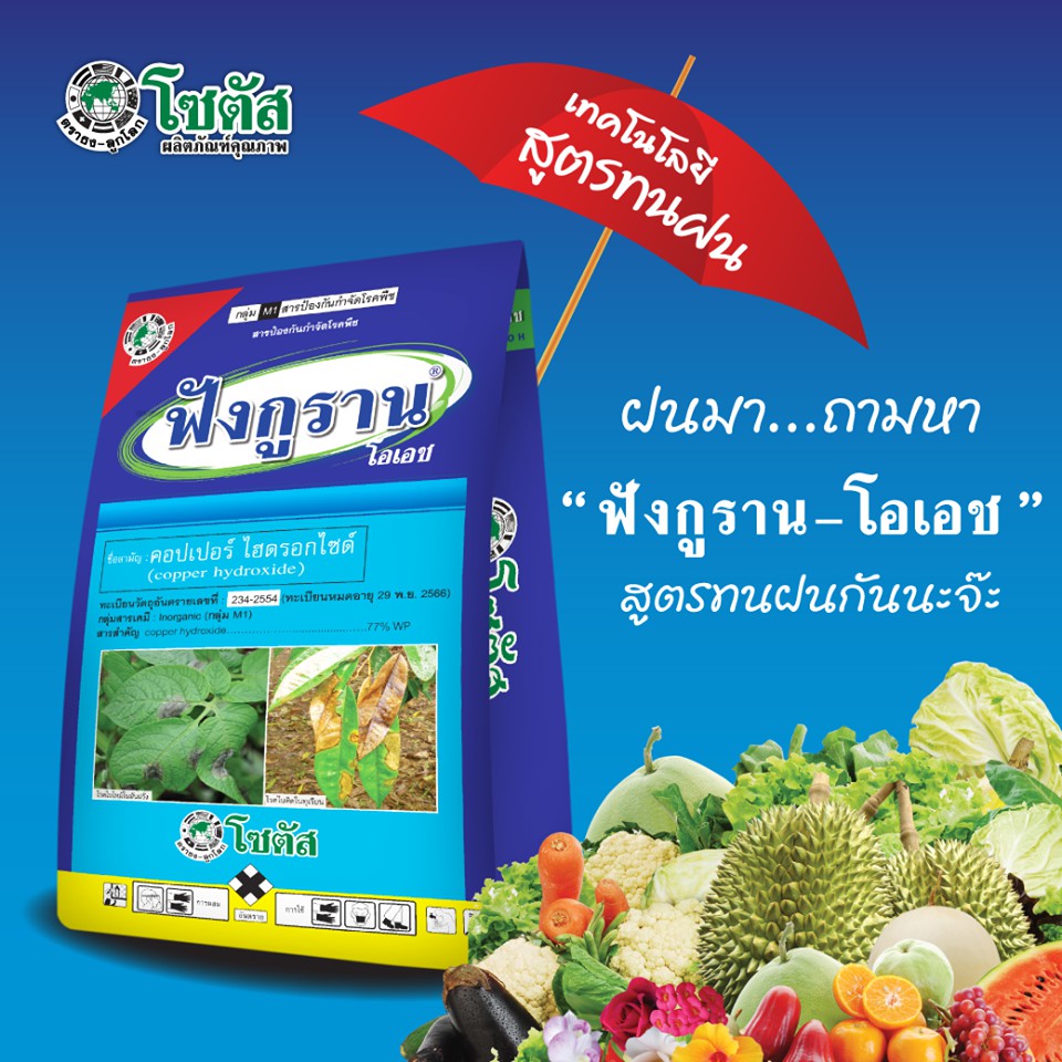 ฟังกูราน 1kg. คอปเปอร์ไฮดรอกไซด์ สารกำจัดเชื้อรา สารกำจัดแบคทีเรีย โรคแคงเคอร์ โรคแอนแทรคโนส โรคราน้ำค้าง โรคใบติดทุเรียน โรคเหี่ยวแบคทีเรีย โรคเน่าเละแบคทีเรีย โรคสแคป โรคใบไหม้ โรคใบจุด