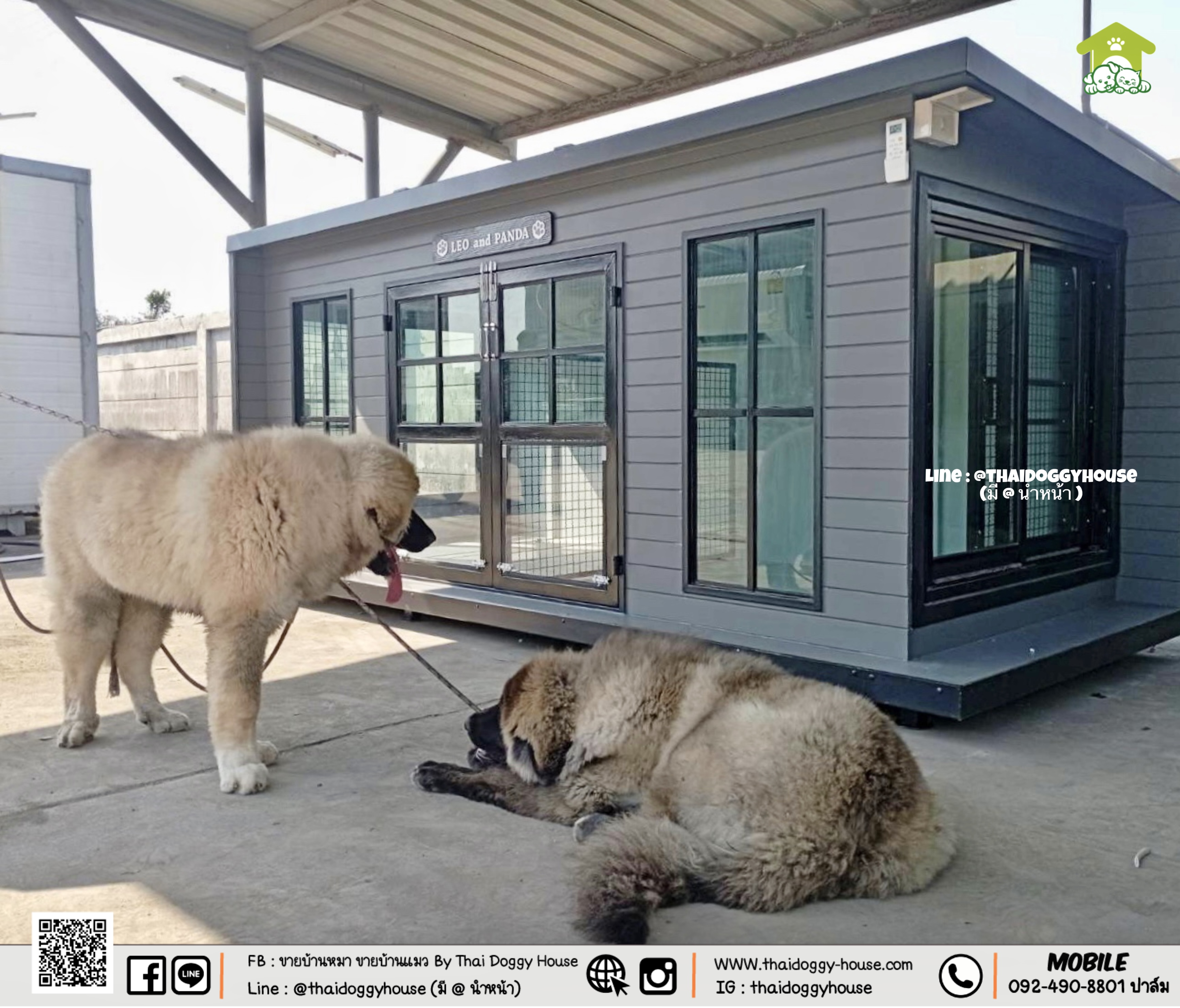 บ้านหมา บ้านแมว " 𝐁𝐎𝐗 𝐒𝐓𝐘𝐋𝐄 𝐁𝐘 𝐓𝐇𝐀𝐈 𝐃𝐎𝐆𝐆𝐘 𝐇𝐎𝐔𝐒𝐄 "