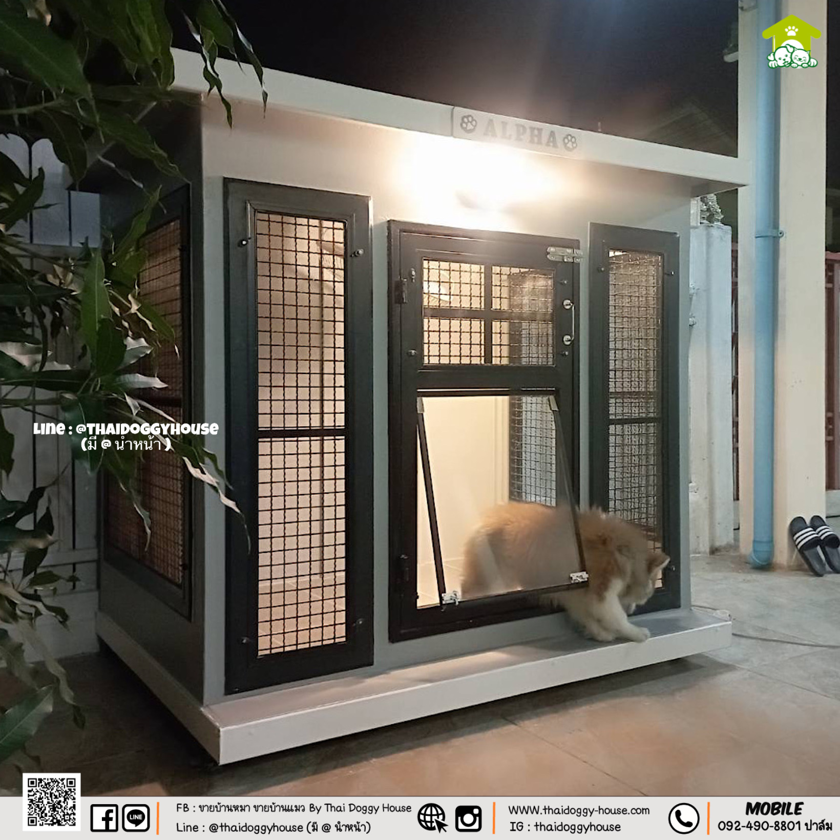 บ้านหมา บ้านแมว " 𝐁𝐎𝐗 𝐒𝐓𝐘𝐋𝐄 𝐁𝐘 𝐓𝐇𝐀𝐈 𝐃𝐎𝐆𝐆𝐘 𝐇𝐎𝐔𝐒𝐄 "