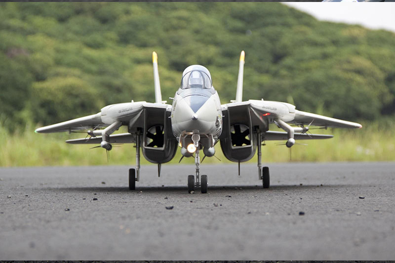 เครื่องบินไฟฟ้า ตัวลำ+ชุดไฟ Freewing F-14 Tomcat Twin 80mm EDF Jet PNP