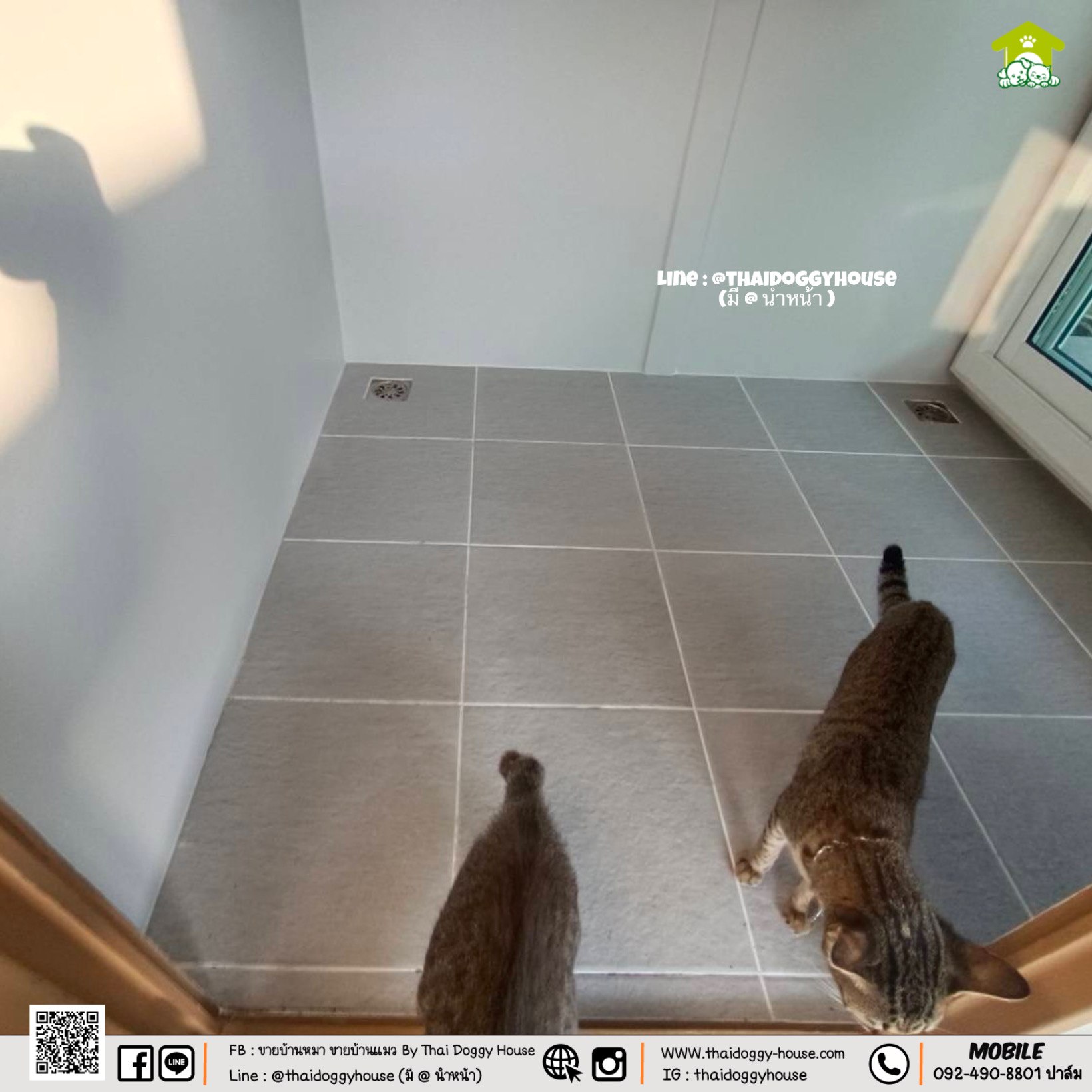 บ้านหมา บ้านแมว " 𝐌𝐔𝐉𝐈 𝐒𝐓𝐘𝐋𝐄 𝐁𝐘 𝐓𝐇𝐀𝐈 𝐃𝐎𝐆𝐆𝐘 𝐇𝐎𝐔𝐒𝐄