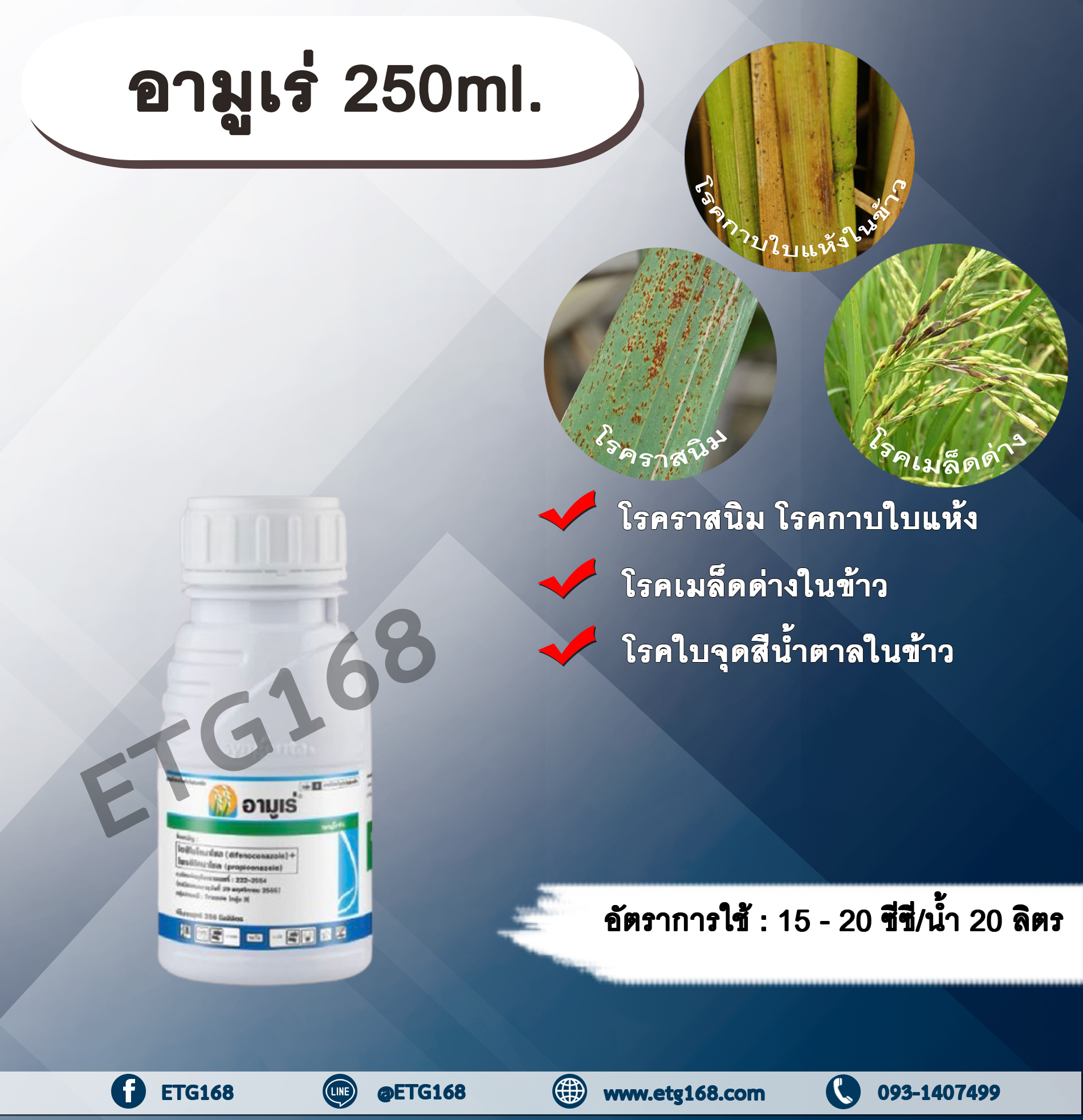 อามูเร่ 250ml. ไดฟีโนโคนาโซล+โพรพิโคนาโซล สารกำจัดเชื้อรา โรคเมล็ดด่าง โรคราสนิม โรคใบจุดสีน้ำตาล โรคกาบใบแห้ง ซินเจนทา
