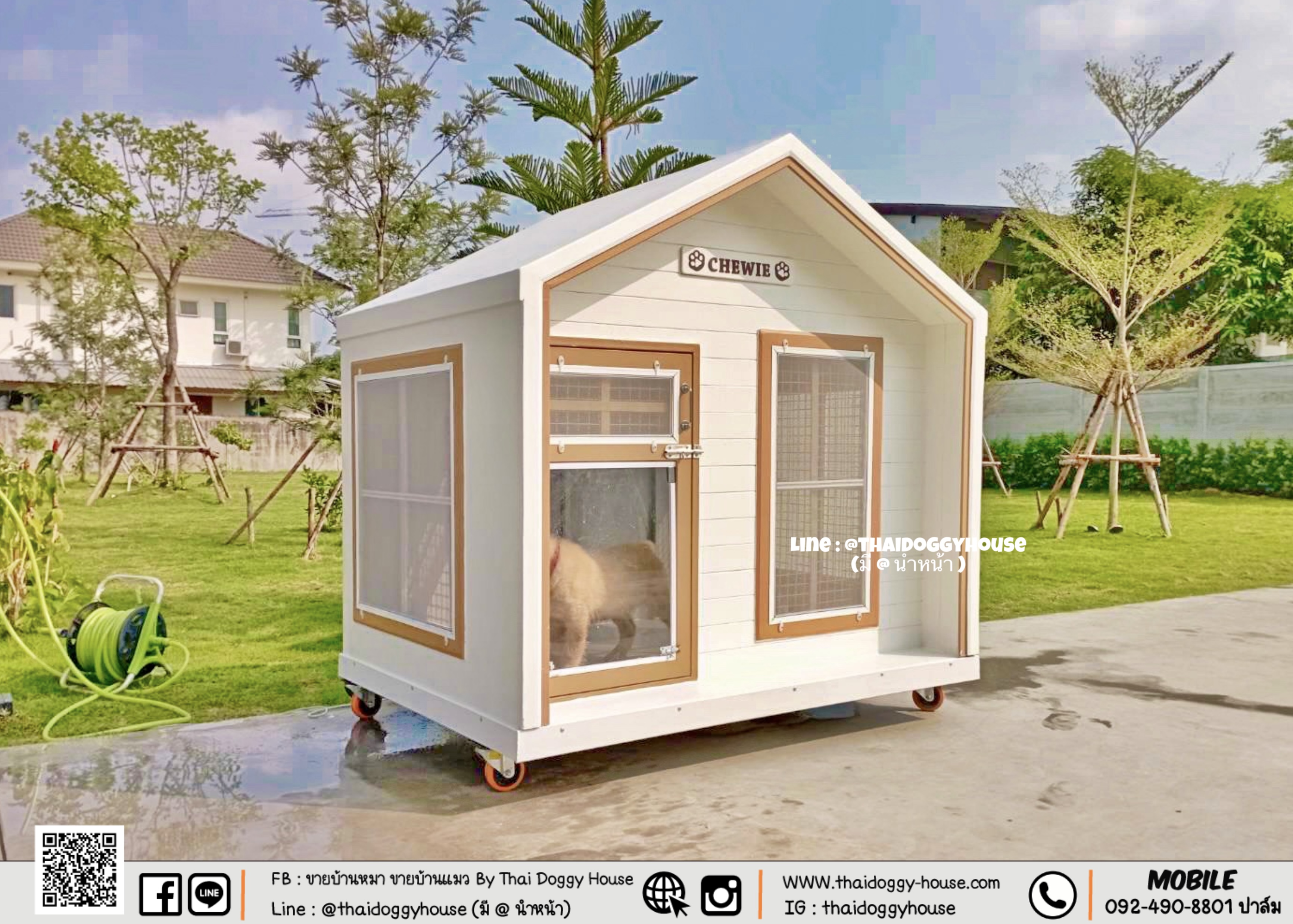 บ้านหมา บ้านแมว ตะแกรงเหล็ก มุ้งลวด