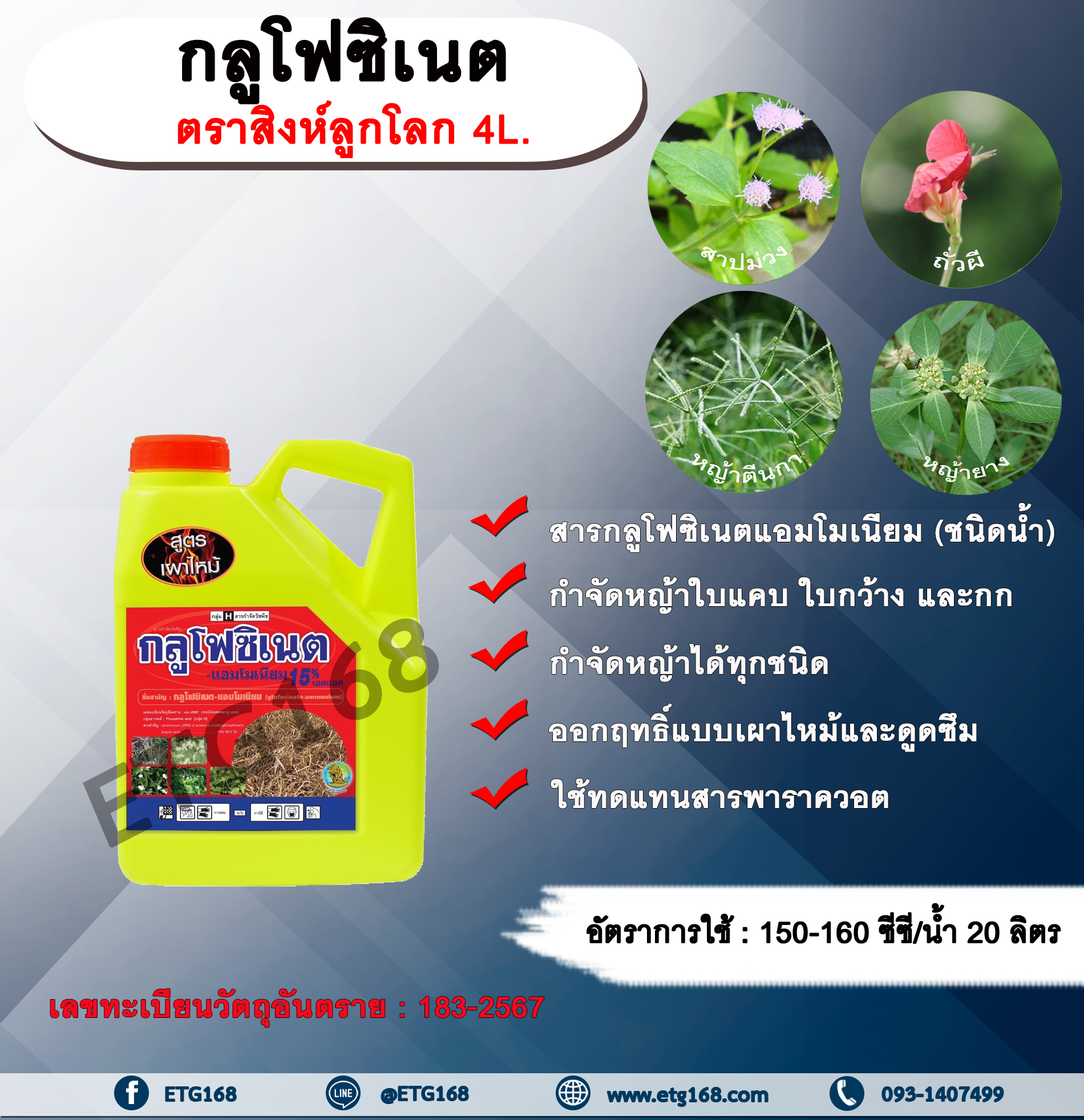 กลูโฟซิเนต ตราสิงห์ลูกโลก 4L. กลูโฟซิเนตแอมโมเนียม สารกำจัดวัชพืช กำจัดหญ้าใบแคบ ใบกว้าง กก หญ้าทุกชนิด ออกฤทธิ์แบบเผาไหม้และดูดซึม