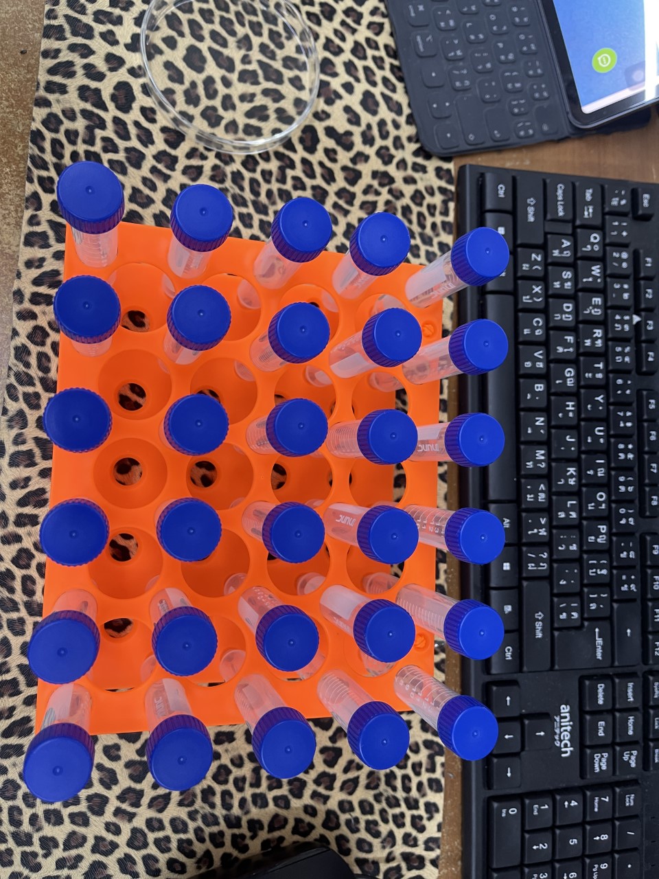 Rack for Tube centrifuge 15 ml, 50 ml