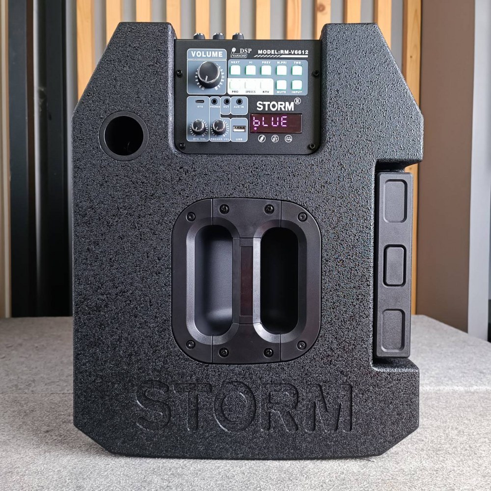 STORM RM-V6612 ตู้ลำโพงไม้ พร้อมไมค์ลอย2ตัว รองรับสัญญาณ Bluetooth MP3/USB RM V6612 ลำโพง RMV6612 บลูทูธ ลำโพงอเนกประสงค์ เอไอ-ไพศาล