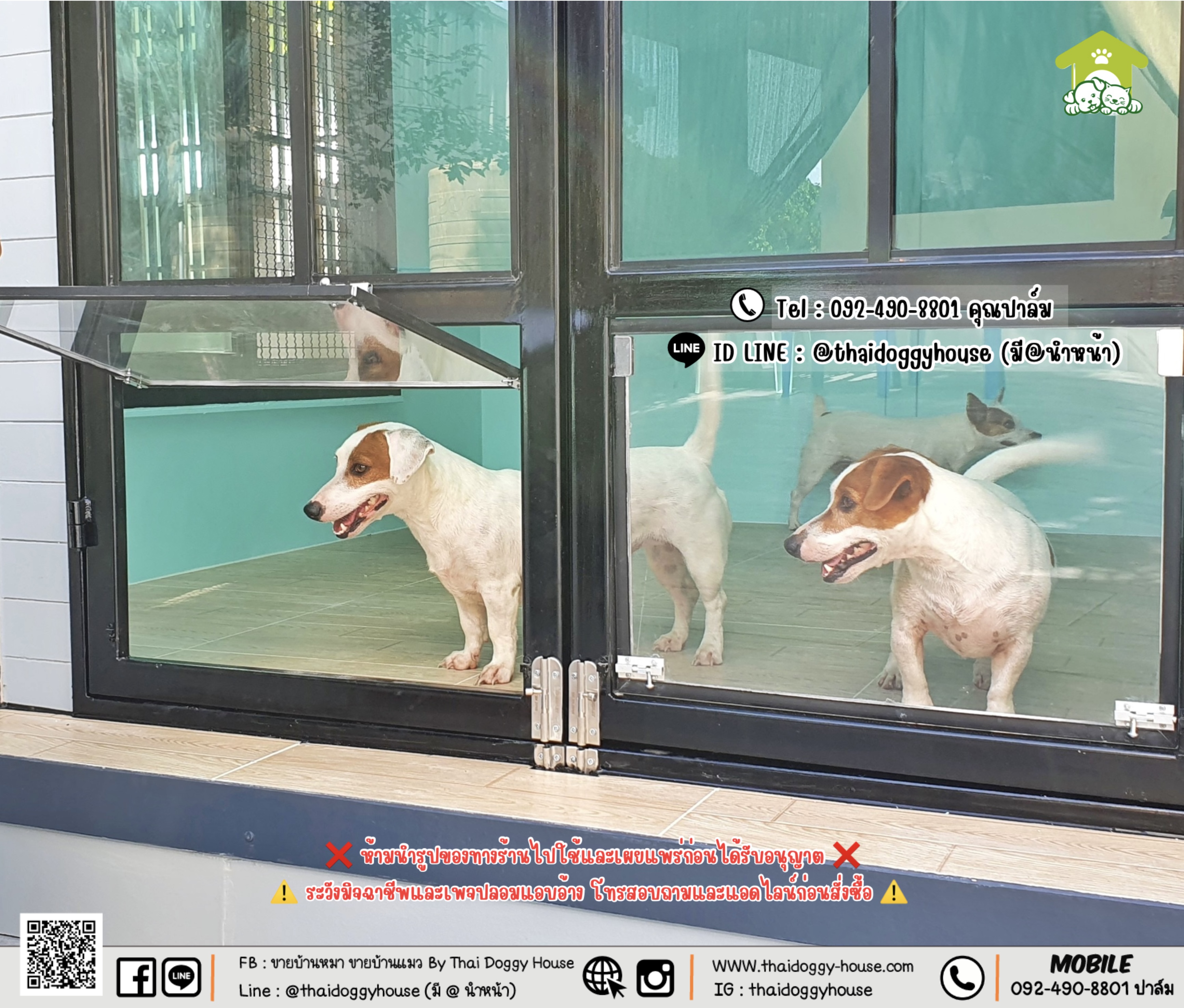 บ้านหมา บ้านแมว 𝐓𝐡𝐚𝐢 𝐝𝐨𝐠𝐠𝐲 𝐡𝐨𝐮𝐬𝐞 แบบบ้าน 𝐁𝐨𝐱 𝐒𝐭𝐲𝐥𝐞 #บ้านกระจกรองรับการติดแอร์