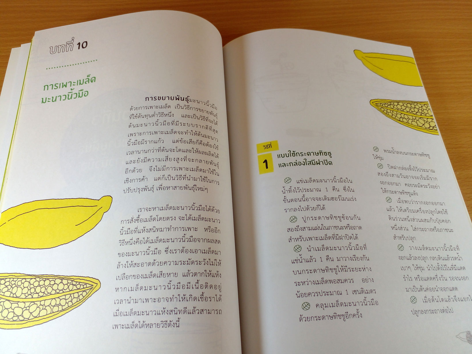 ทำเงินจากมะนาวนิ้วมือ เผยทุกขั้นตอนจากผู้ลงมือปลูกและสำเร็จจริง