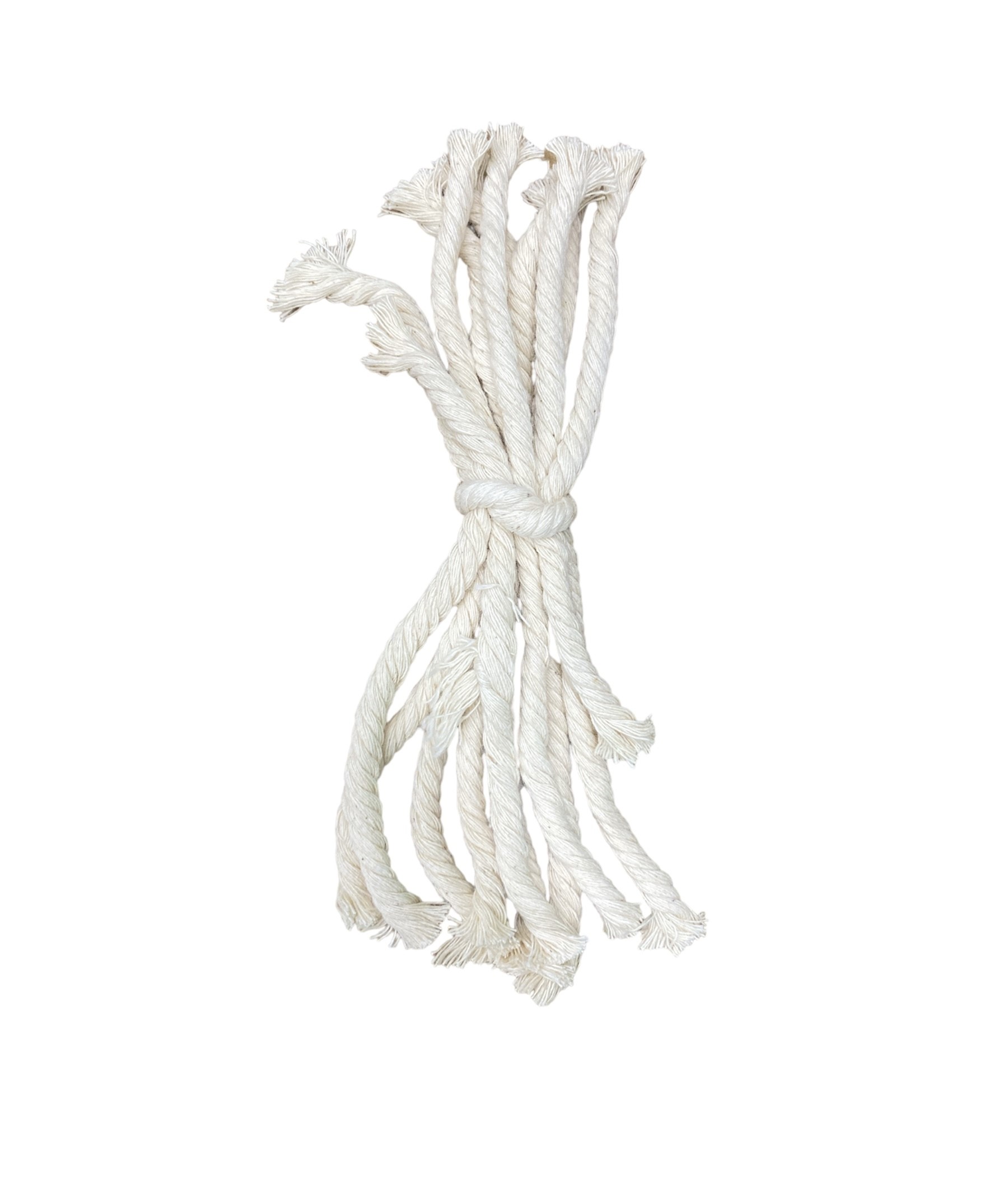 ไส้ตะเกียงแอลกอฮอล์ , Lamp Wick 100 ชิ้น/แพ็ค