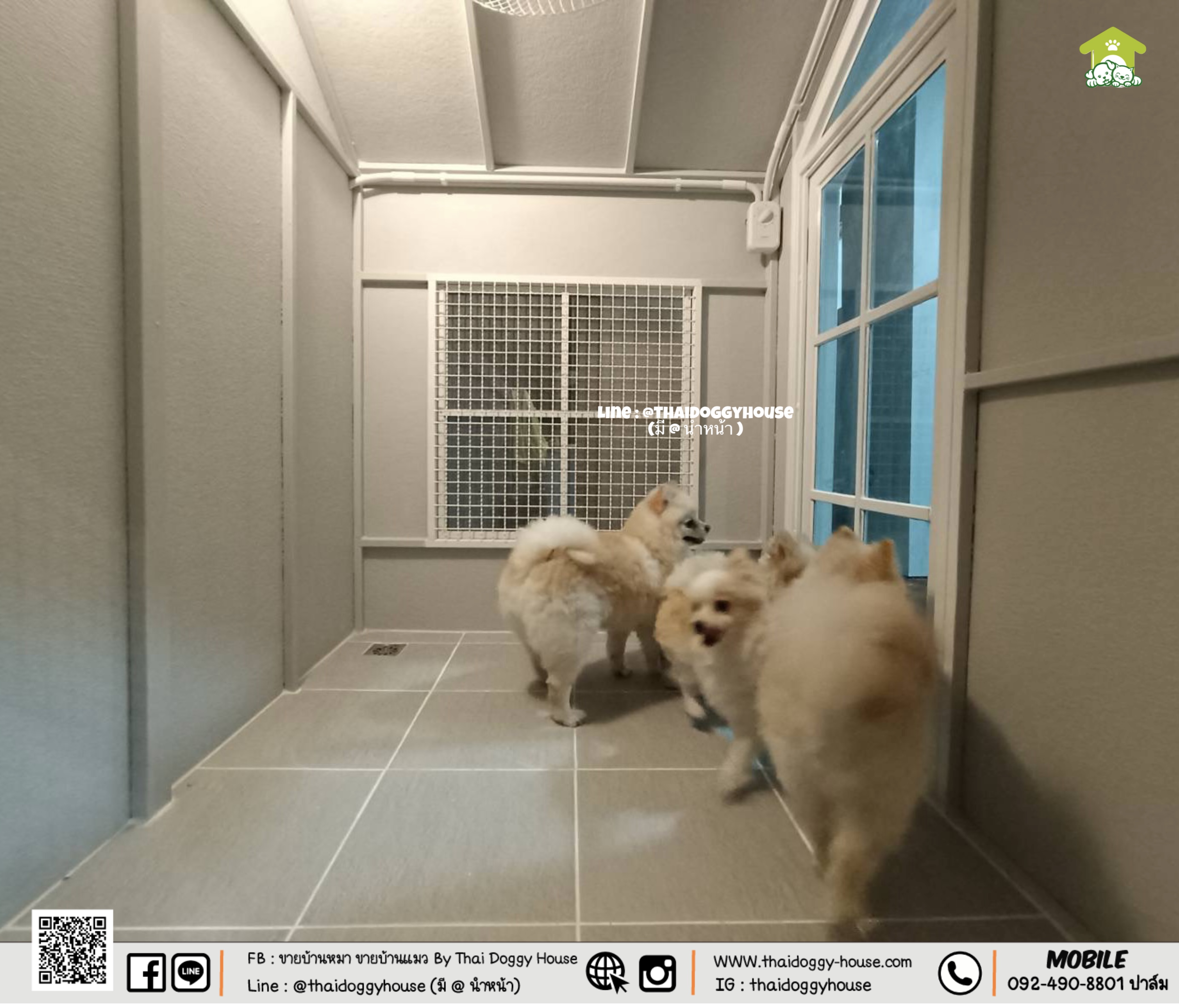 ✨ 𝗠𝗜𝗡𝗜𝗠𝗔𝗟 𝗦𝗧𝗬𝗟𝗘 ✨ บ้านหมา บ้านแมว " 𝐓𝐇𝐀𝐈 𝐃𝐎𝐆𝐆𝐘 𝐇𝐎USE