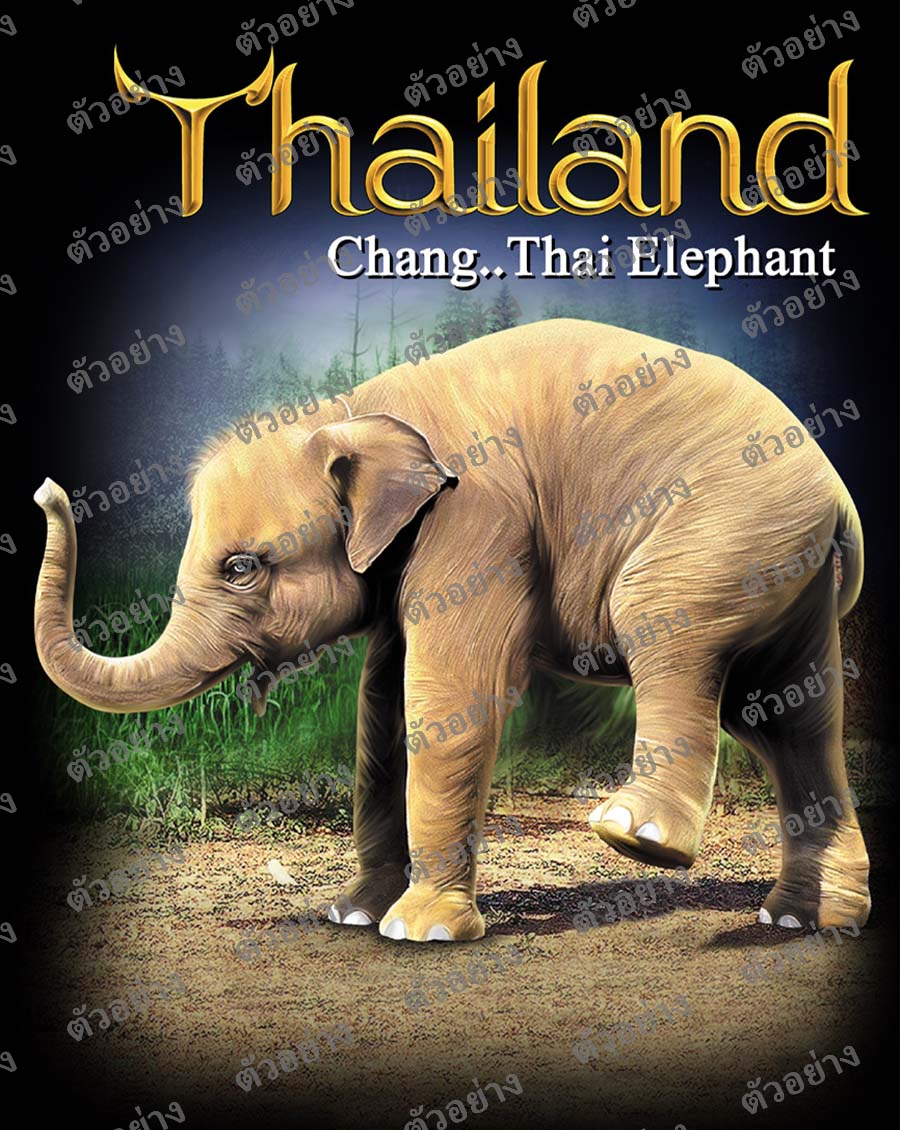 ลายสกรีนฮาฟโทนแนวไทยแลนด์