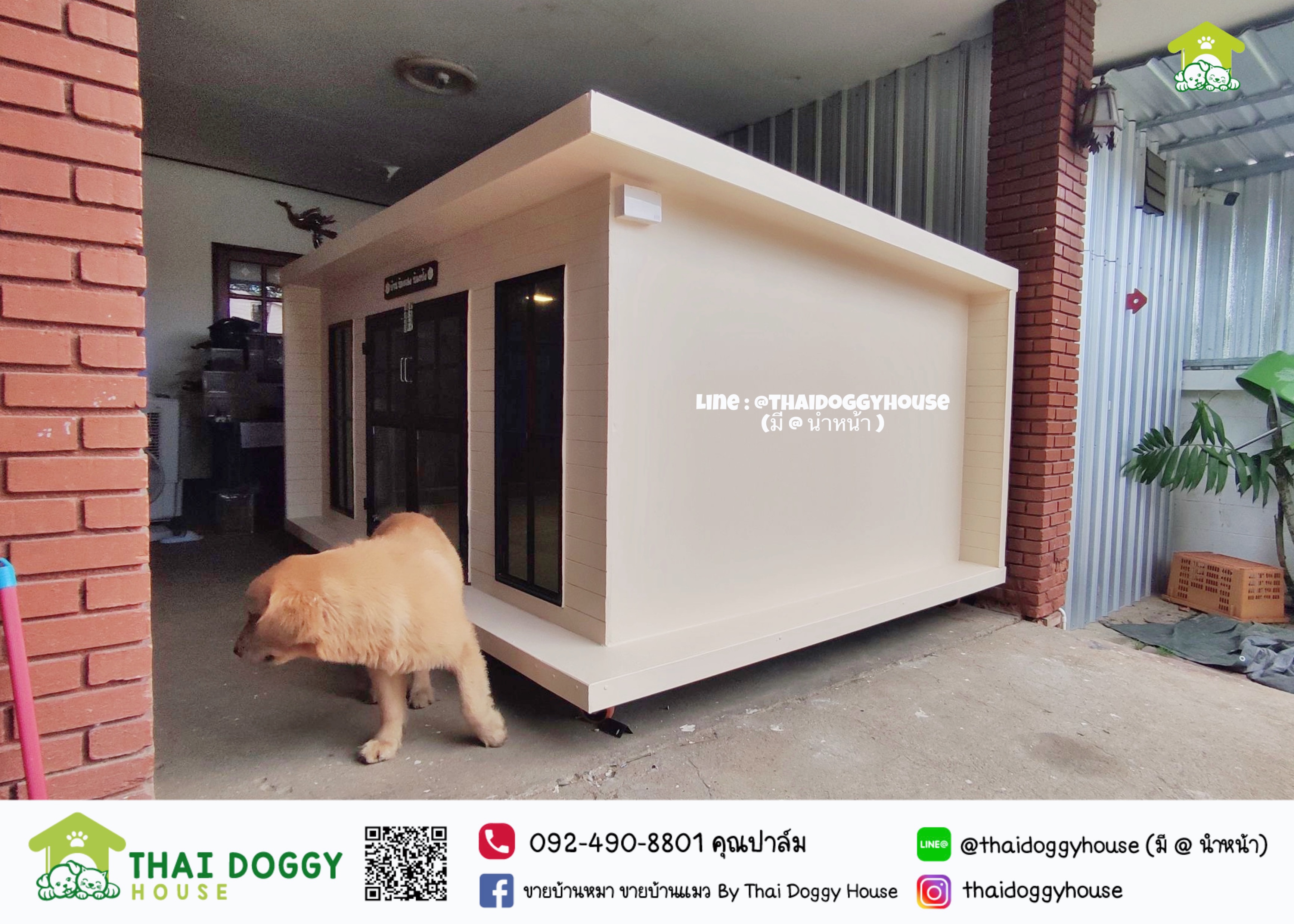 บ้านหมา บ้านแมว " 𝐁𝐎𝐗 𝐒𝐓𝐘𝐋𝐄 𝐁𝐘 𝐓𝐇𝐀𝐈 𝐃𝐎𝐆𝐆𝐘 𝐇𝐎𝐔𝐒𝐄 " &#x