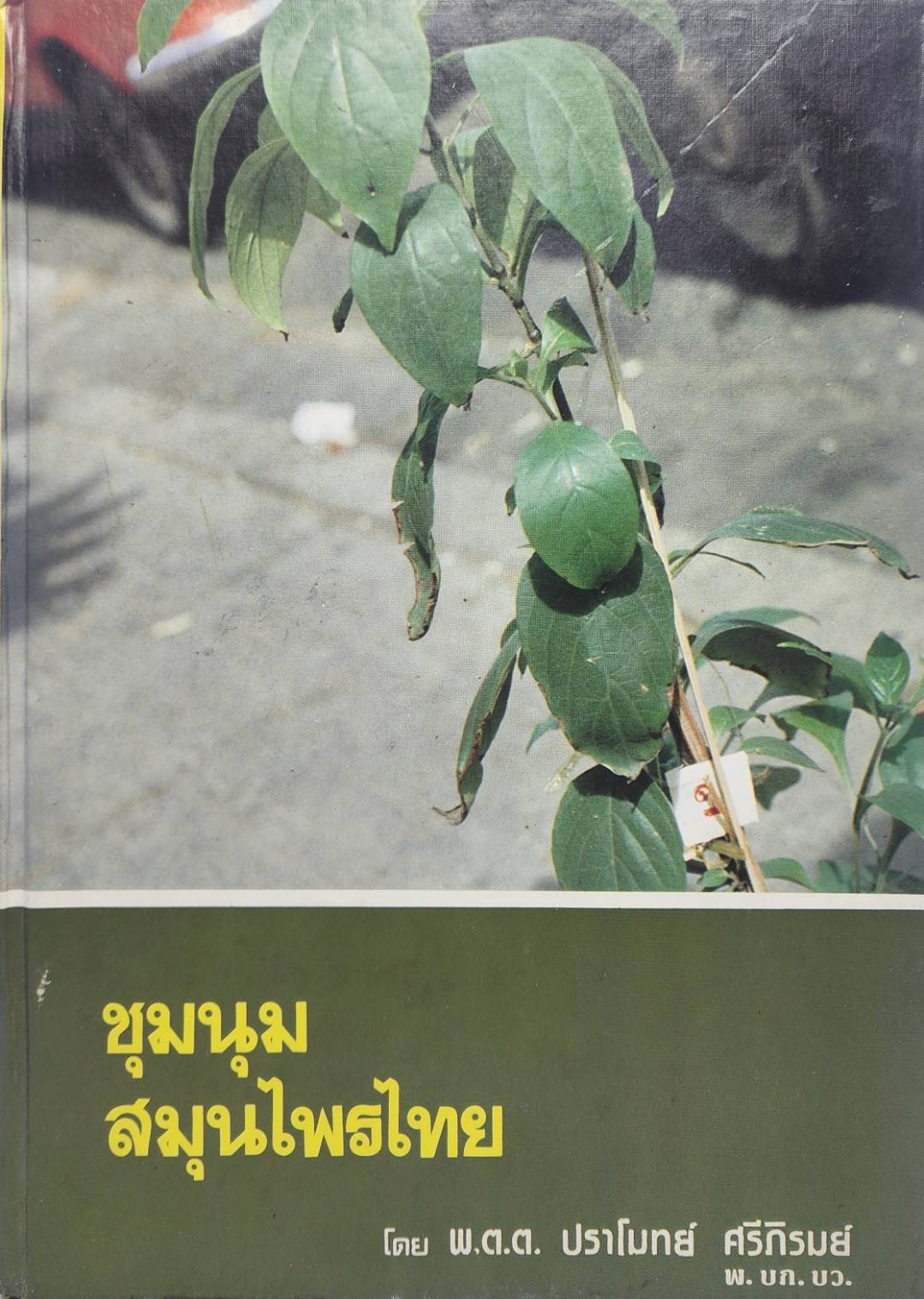 ชุมนุมสมุนไพรไทย 027185