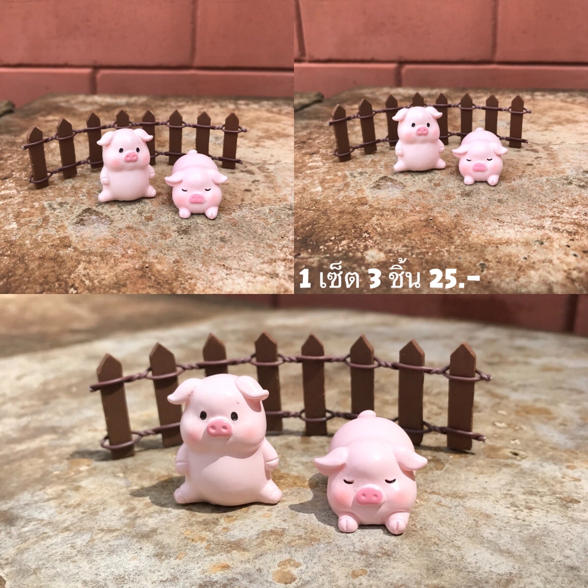 หมู กับ รั้ว