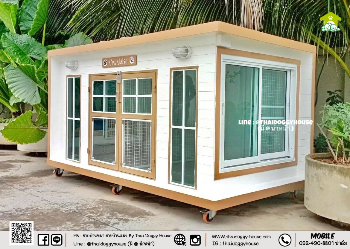 บ้านหมา บ้านแมว " 𝐁𝐎𝐗 𝐒𝐓𝐘𝐋𝐄 𝐁𝐘 𝐓𝐇𝐀𝐈 𝐃𝐎𝐆𝐆𝐘 𝐇𝐎𝐔𝐒𝐄 " &#x