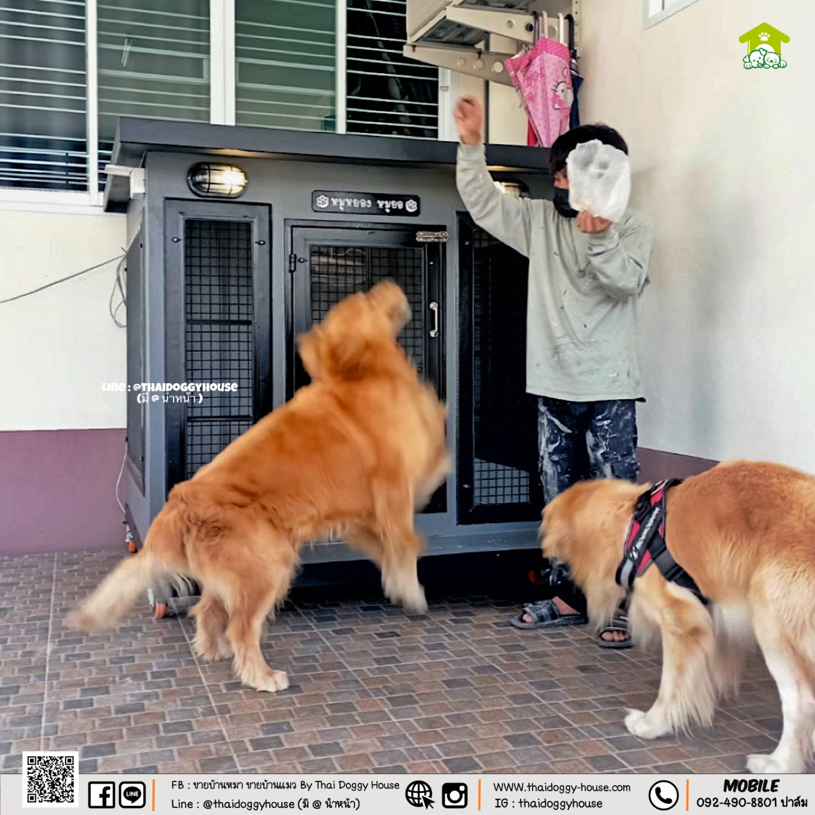 บ้านหมา บ้านแมว " 𝐁𝐎𝐗 𝐒𝐓𝐘𝐋𝐄 𝐁𝐘 𝐓𝐇𝐀𝐈 𝐃𝐎𝐆𝐆𝐘 𝐇𝐎𝐔𝐒𝐄 "