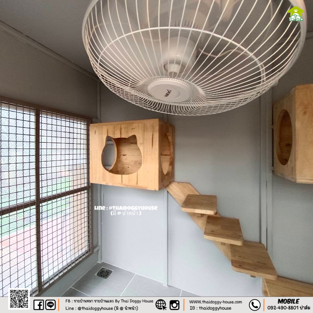 บ้านหมา บ้านแมว " 𝐁𝐎𝐗 𝐒𝐓𝐘𝐋𝐄 𝐁𝐘 𝐓𝐇𝐀𝐈 𝐃𝐎𝐆𝐆𝐘 𝐇𝐎𝐔𝐒𝐄