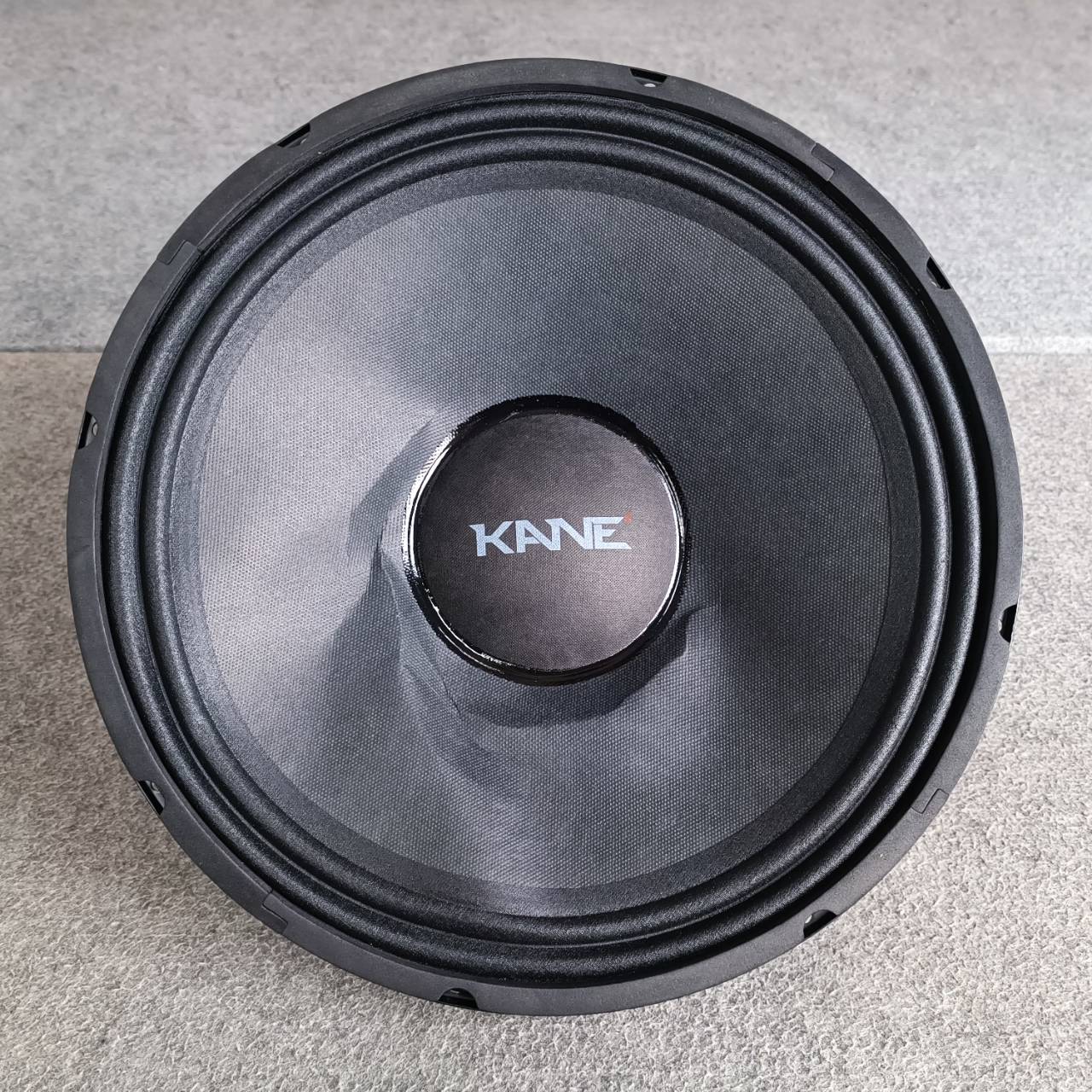 สินค้าเสียหายจากการขนส่ง KANE มรกต12B ลำโพง12นิ้ว โครงยุบ วอยซ์เบียด KA NE มรกต-12B มรกต 12B เอไอ-ไพศาล