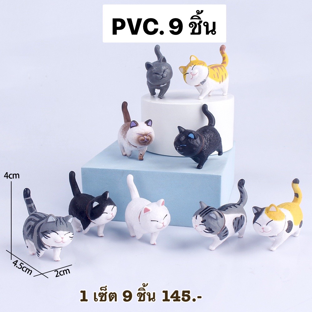 แมว 9 ชิ้น