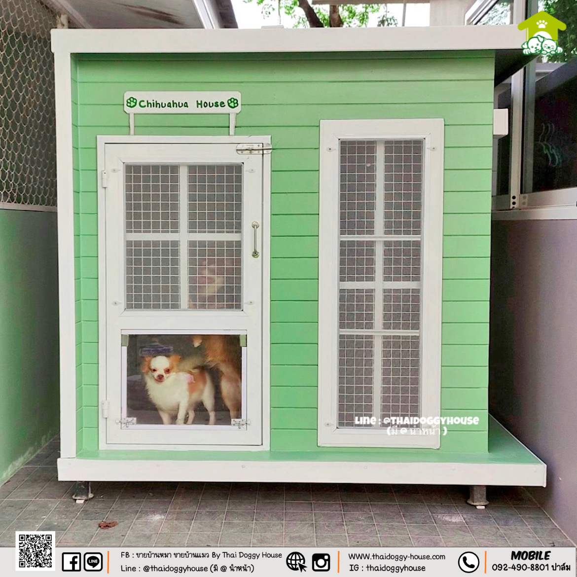 บ้านหมา บ้านแมว "𝐁𝐎𝐗 𝐒𝐓𝐘𝐋𝐄" โทนสีพาสเทล น่ารักมากๆ 💚💛