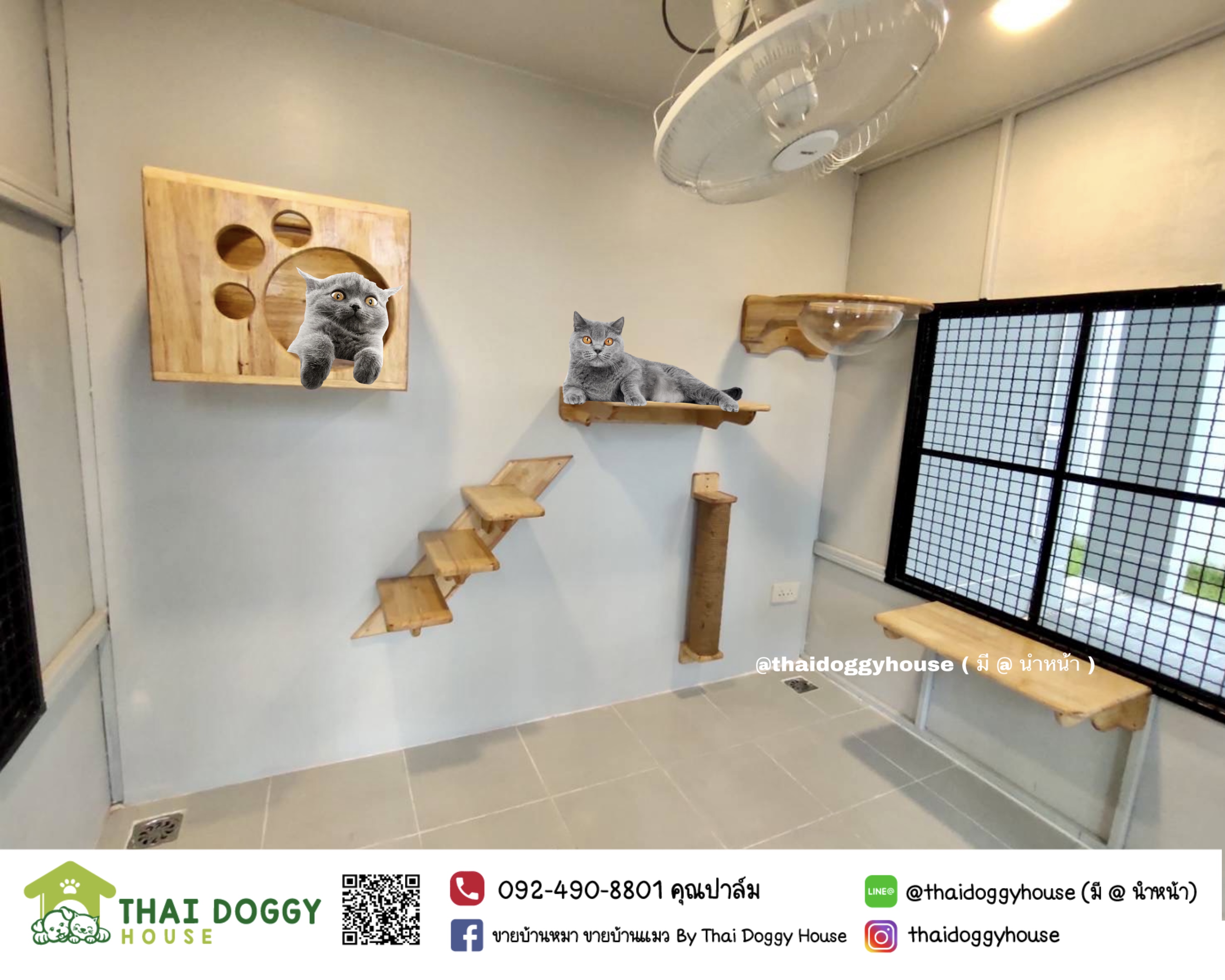 บ้านน้องแมวหลังใหญ่ " Box Style " สามารถติดตั้งของเล่นให้น้องแมวเพิ่มเติมได้