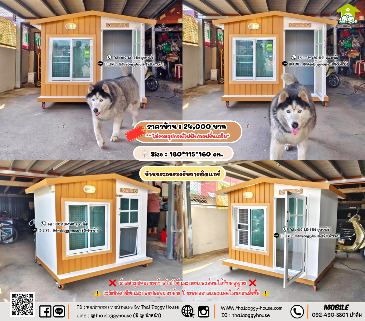 บ้านหมา บ้านแมว 𝐓𝐡𝐚𝐢 𝐝𝐨𝐠𝐠𝐲 𝐡𝐨𝐮𝐬𝗲