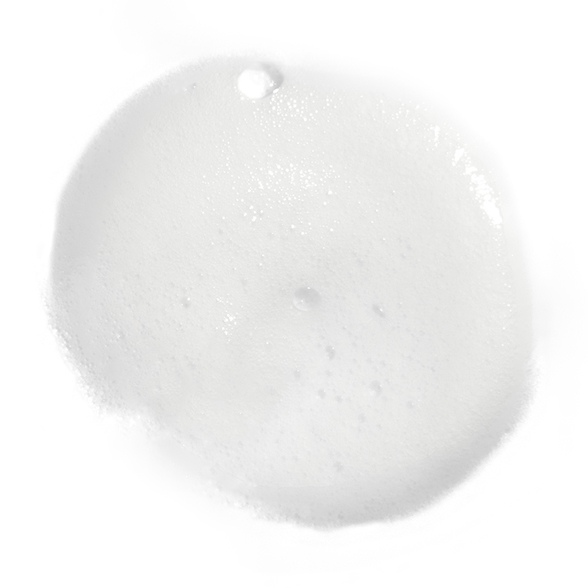 ARTISTRY SKIN NUTRITION RENEWING FOAMING CLEANSER