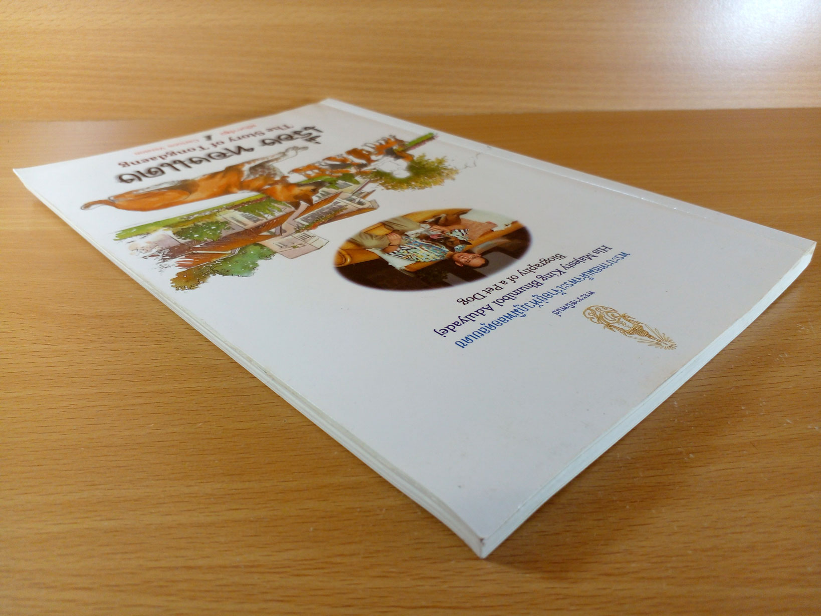 เรื่องทองแดงฉบับการ์ตูน