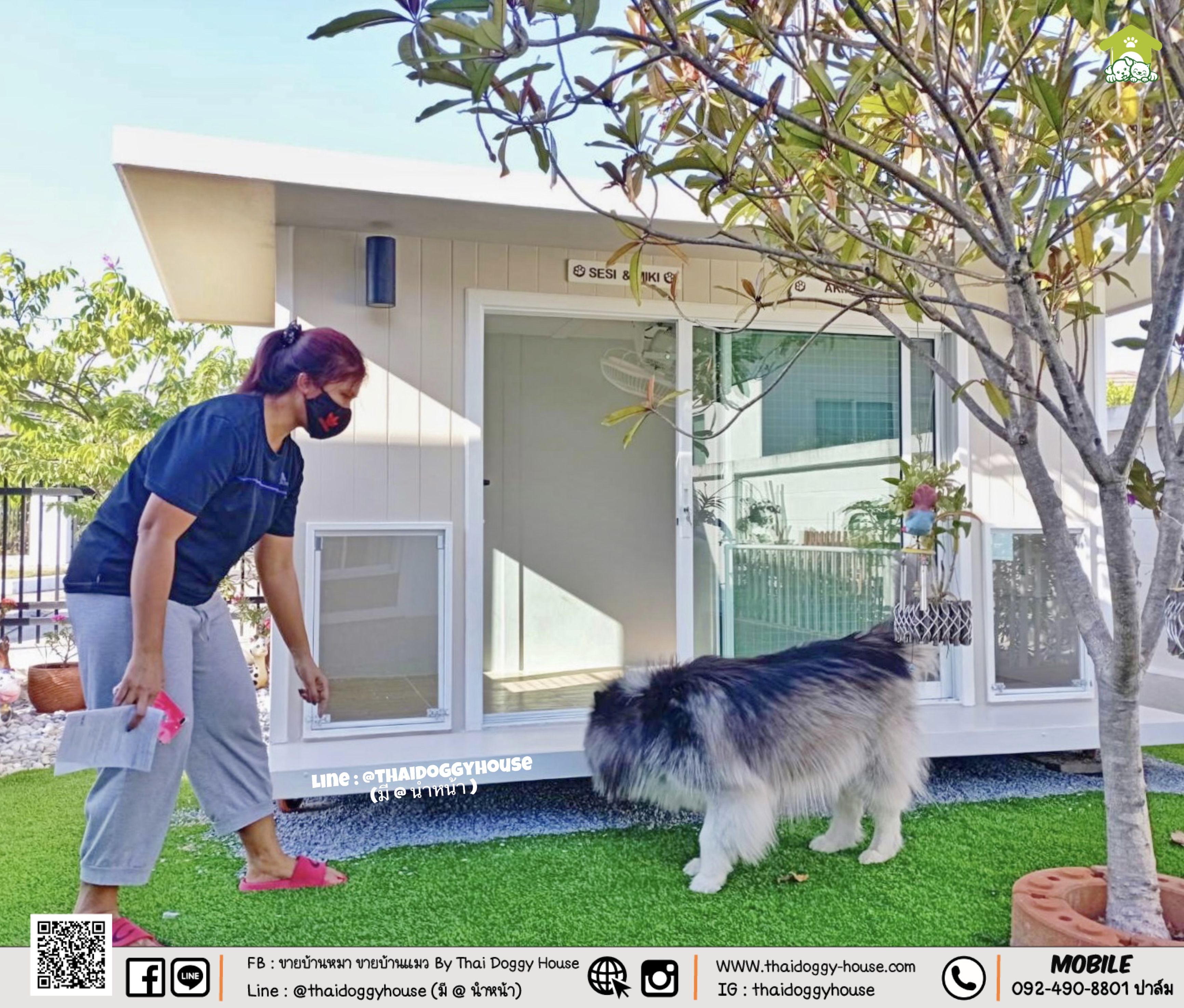 บ้านหมา บ้านแมว " 𝐁𝐎𝐗 𝐒𝐓𝐘𝐋𝐄 𝐁𝐘 𝐓𝐇𝐀𝐈 𝐃𝐎𝐆𝐆𝐘 𝐇𝐎𝐔𝐒𝐄 " แบบ