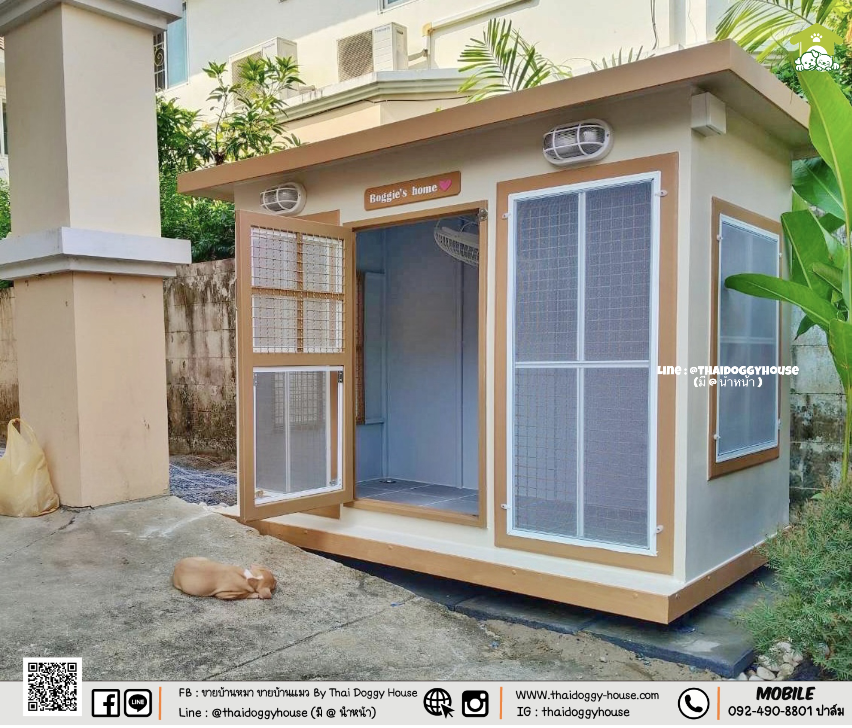 บ้านหมา บ้านแมว " 𝐁𝐎𝐗 𝐒𝐓𝐘𝐋𝐄 𝐁𝐘 𝐓𝐇𝐀𝐈 𝐃𝐎𝐆𝐆𝐘 𝐇𝐎𝐔𝐒𝐄 "