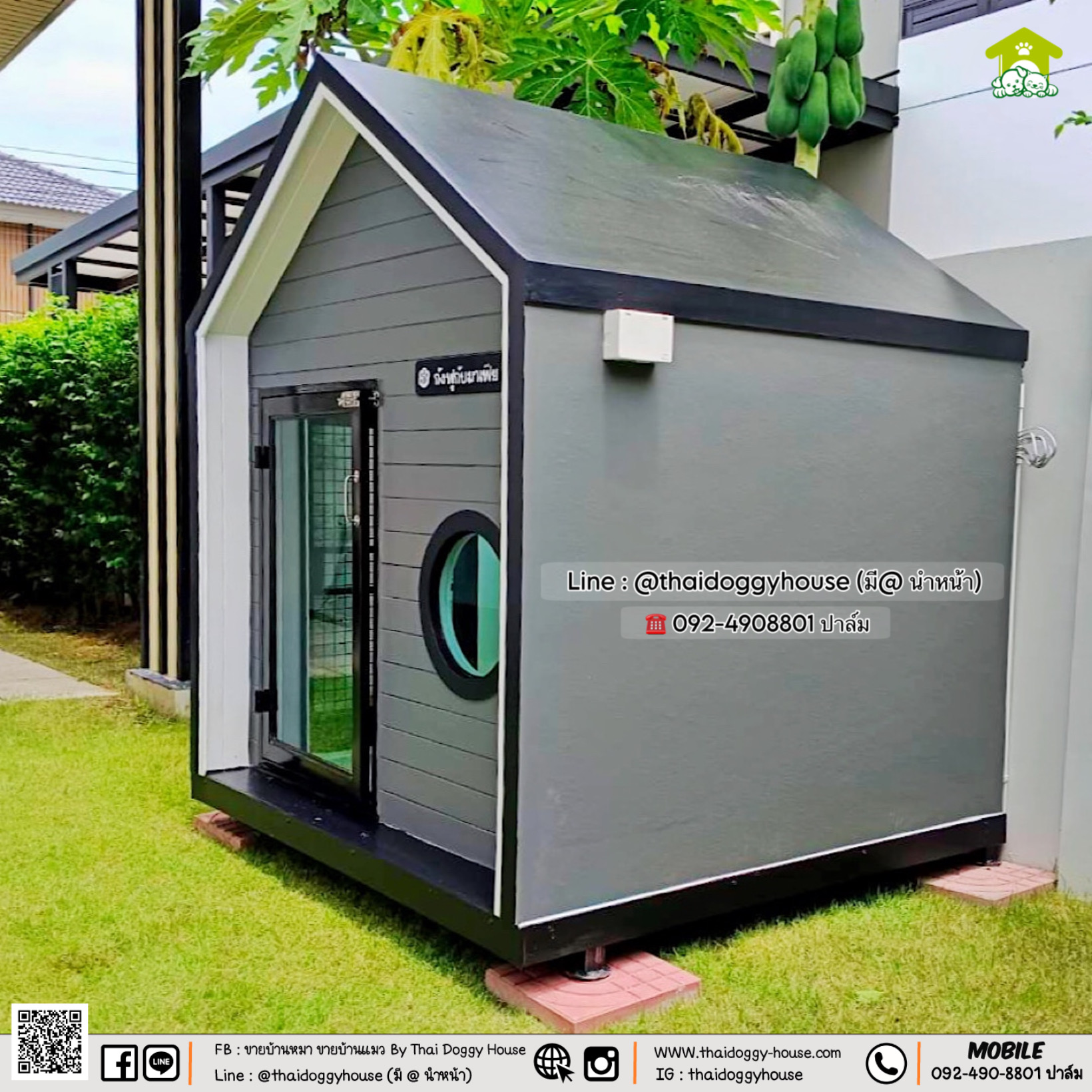 บ้านหมา บ้านแมว 𝐓𝐡𝐚𝐢 𝐝𝐨𝐠𝐠𝐲 𝐡𝐨𝐮𝐬𝐞🌳 ✨ แบบบ้าน 𝐌𝐔𝐉𝐈