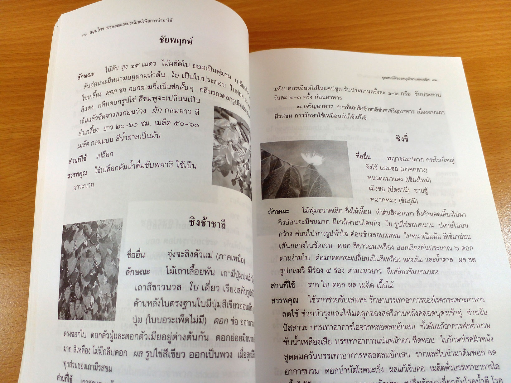 สมุนไพร สรรพคุณและประโยชน์เพื่อการนำไปใช้