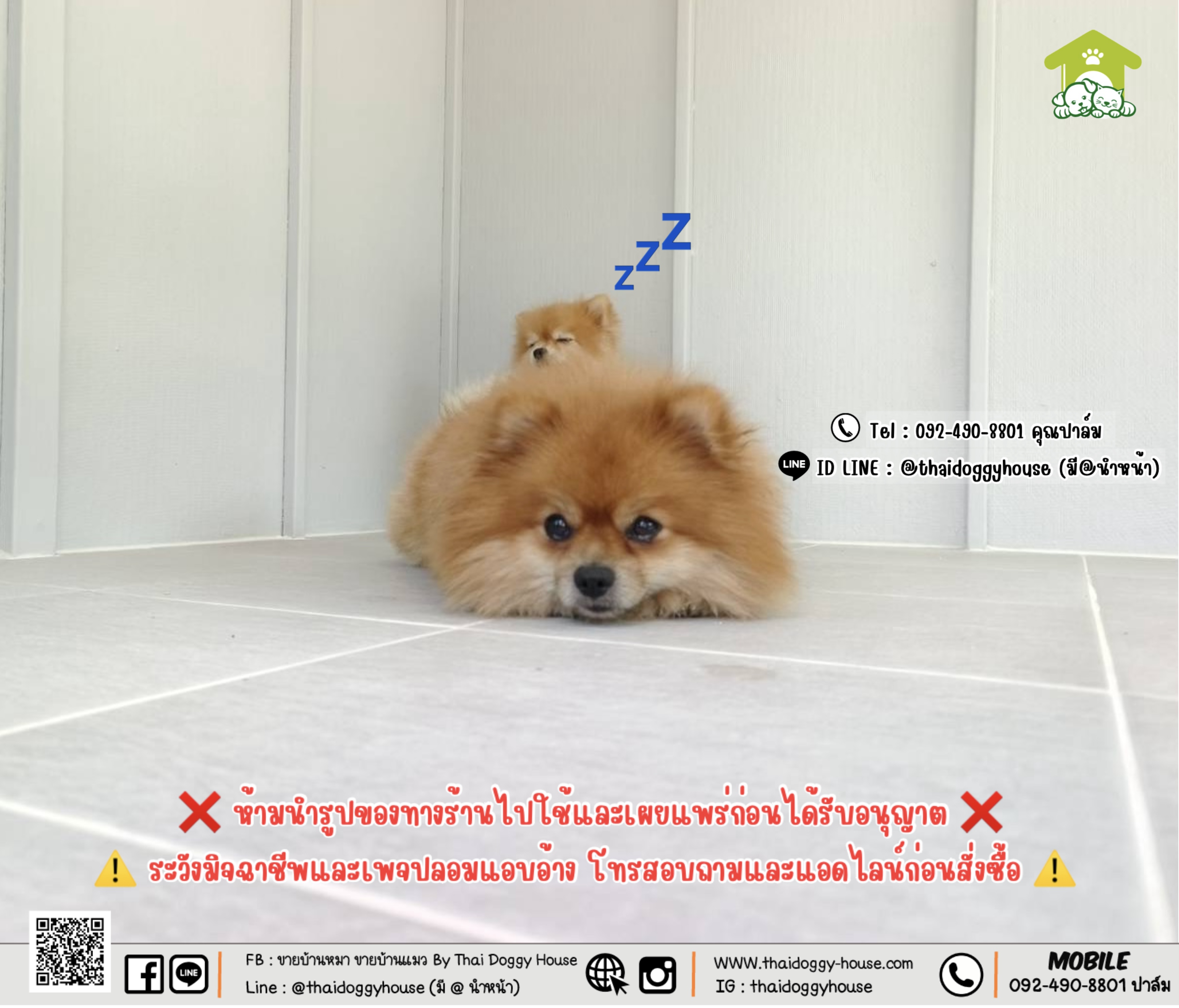 บ้านหมา บ้านแมว 𝐓𝐡𝐚𝐢 𝐝𝐨𝐠𝐠𝐲 𝐡𝐨𝐮𝐬𝗲 รวมแอร์+อุปกรณ์ไฟฟ้าครบชุด