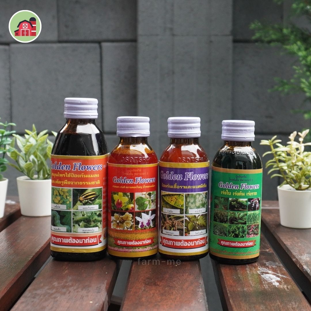โกลเด้นฟลาวเวอร์ กำจัดหนอน เพลี้ยแป้ง ศัตรูพืช