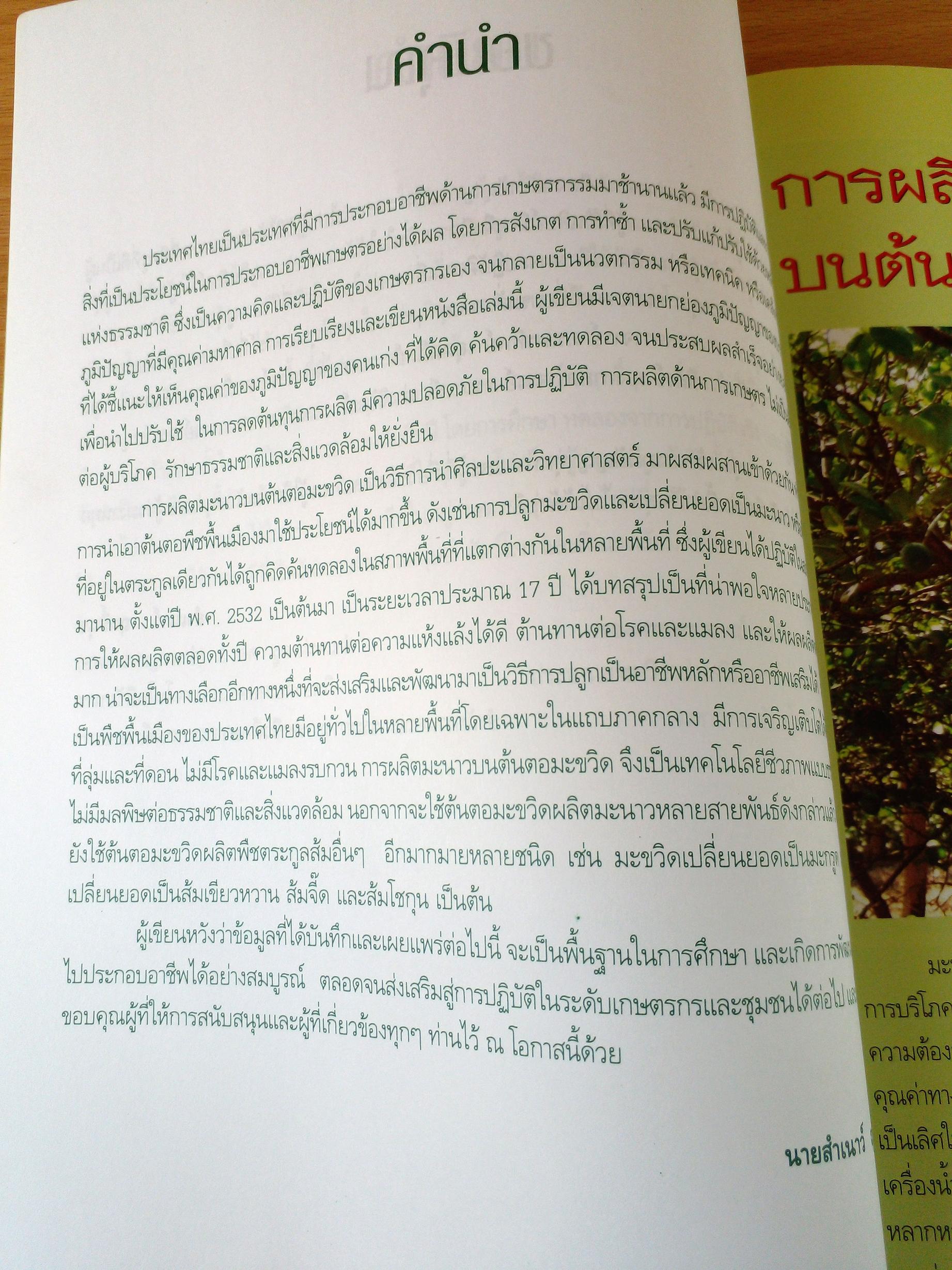 การปลูกมะนาวบนต้นตอมะขวิด