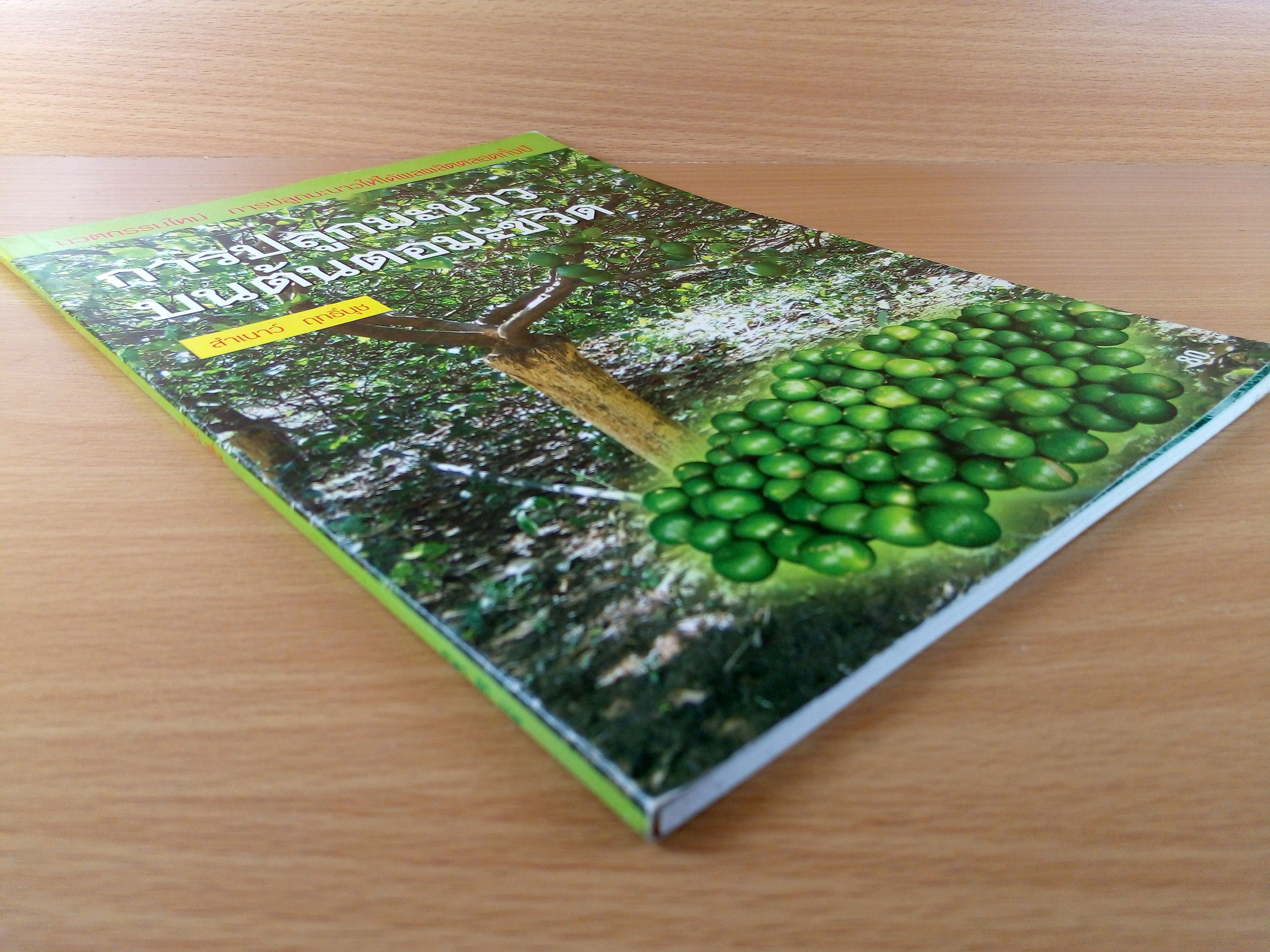 การปลูกมะนาวบนต้นตอมะขวิด