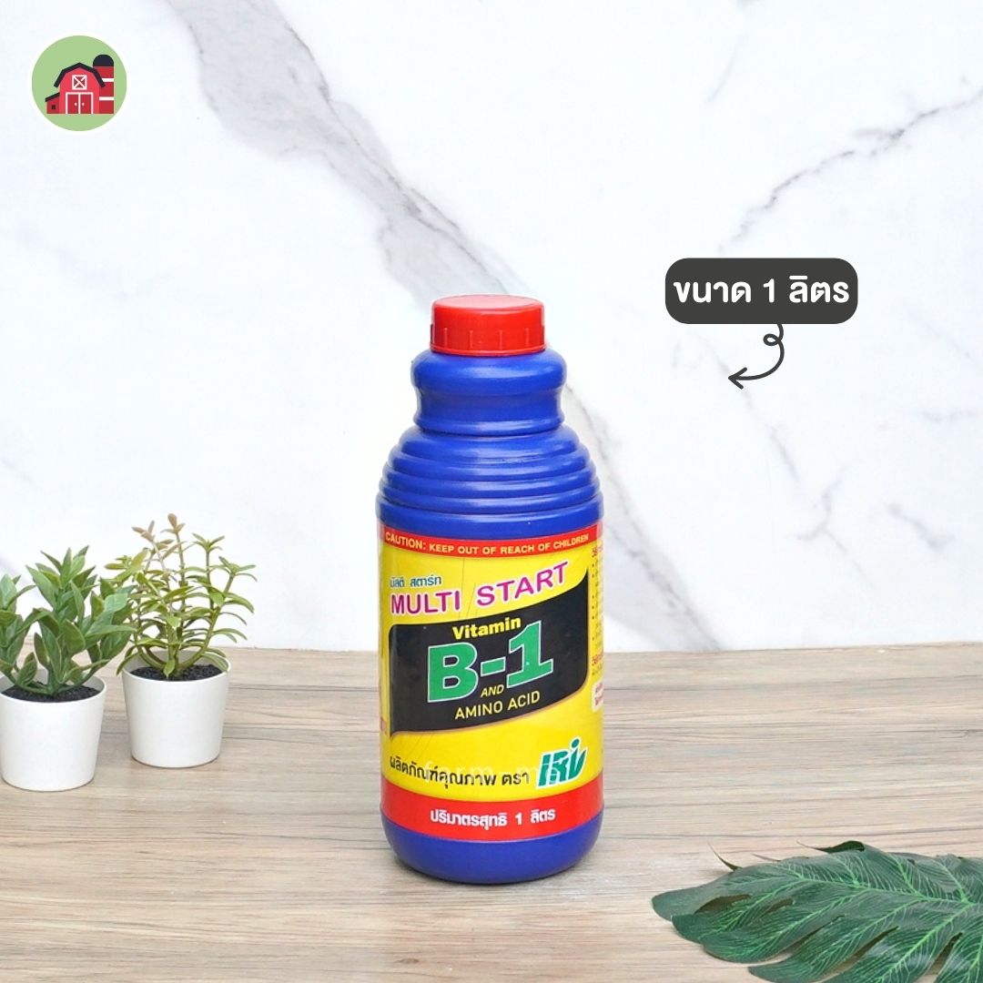 วิตามิน B1