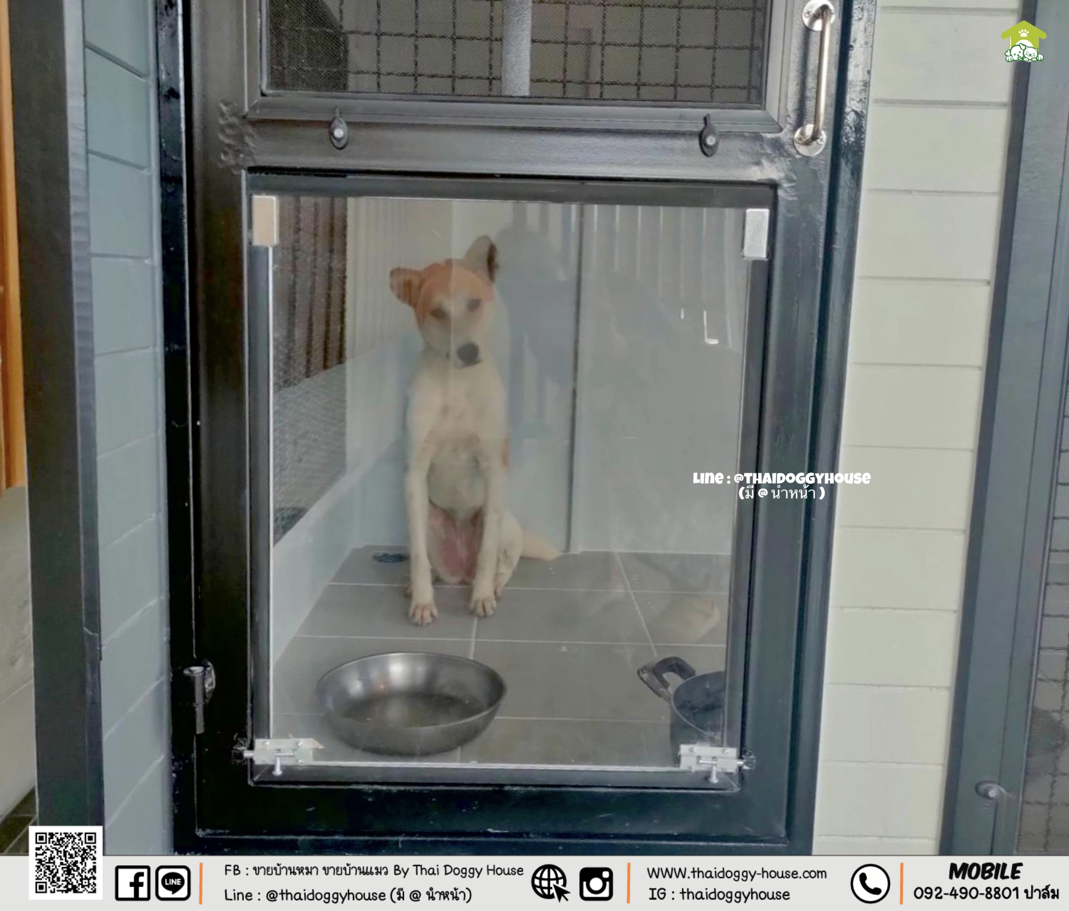 บ้านหมา บ้านแมว " 𝐁𝐎𝐗 𝐒𝐓𝐘𝐋𝐄 𝐁𝐘 𝐓𝐇𝐀𝐈 𝐃𝐎𝐆𝐆𝐘 𝐇𝐎𝐔𝐒𝐄 "