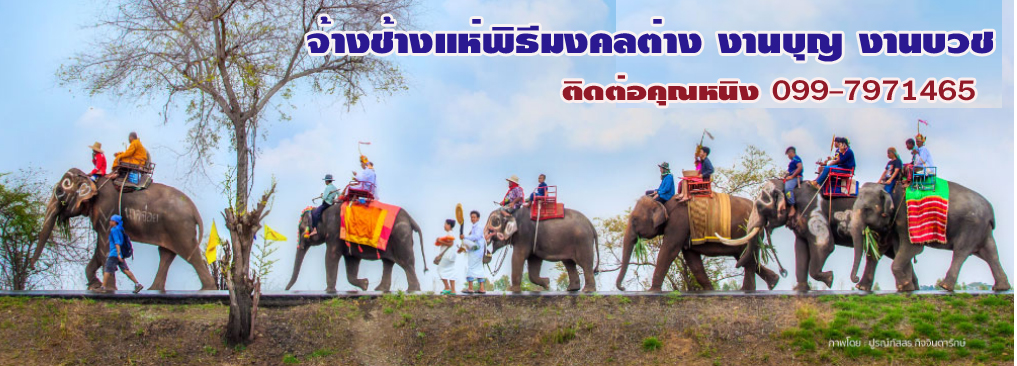 รถแห่แสดงสด