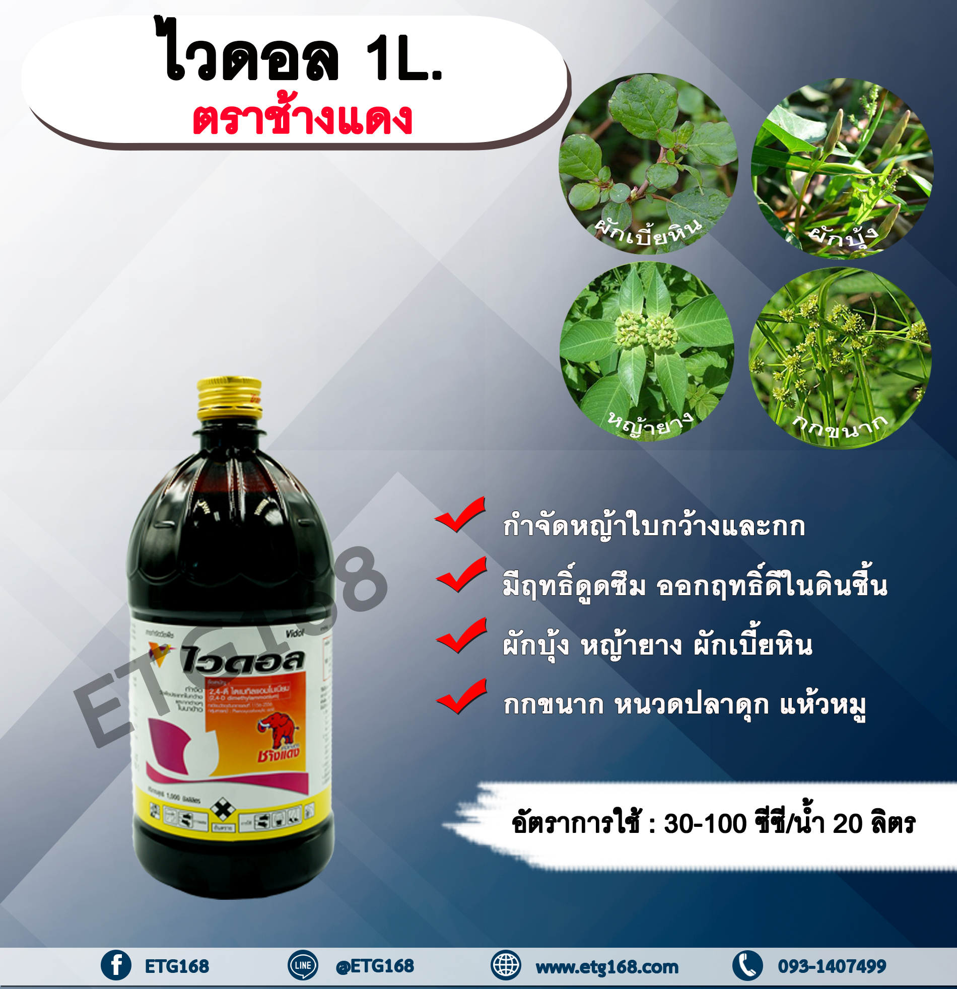 ไวดอล 1L. ตราช้างแดง 24ดี ไดเมทิลแอมโมเนียม ทูโฟดี สารกำจัดหญ้า แบบดูดซึม ใบกว้าง กก กำจัดหญ้ายาง ผักบุ้ง