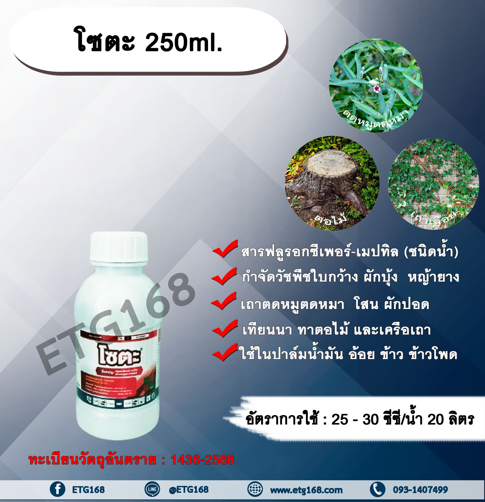 โซตะ 250ml. ฟลูรอกซีเพอร์-เมปทิล สารกำจัดวัชพืช ออกฤทธิ์ดูดซึม กำจัดวัชพืชใบกว้าง ผักบุ้ง หญ้ายาง เถาตดหมูตดหมา โสน ผักปอด เทียนนา ทาตอไม้ และเครือเถา ใช้ในปาล์มน้ำมัน อ้อย ข้าว ข้าวโพด