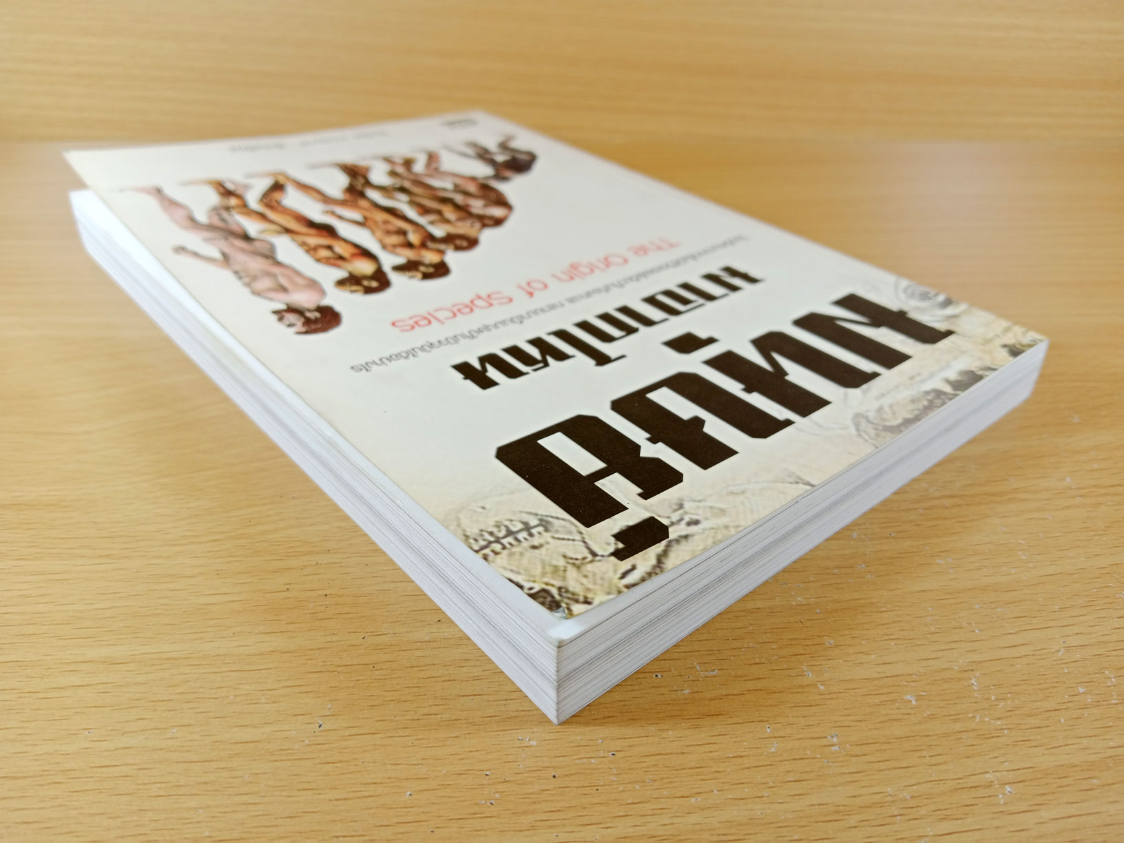 มนุษย์มาจากไหน The origin of species