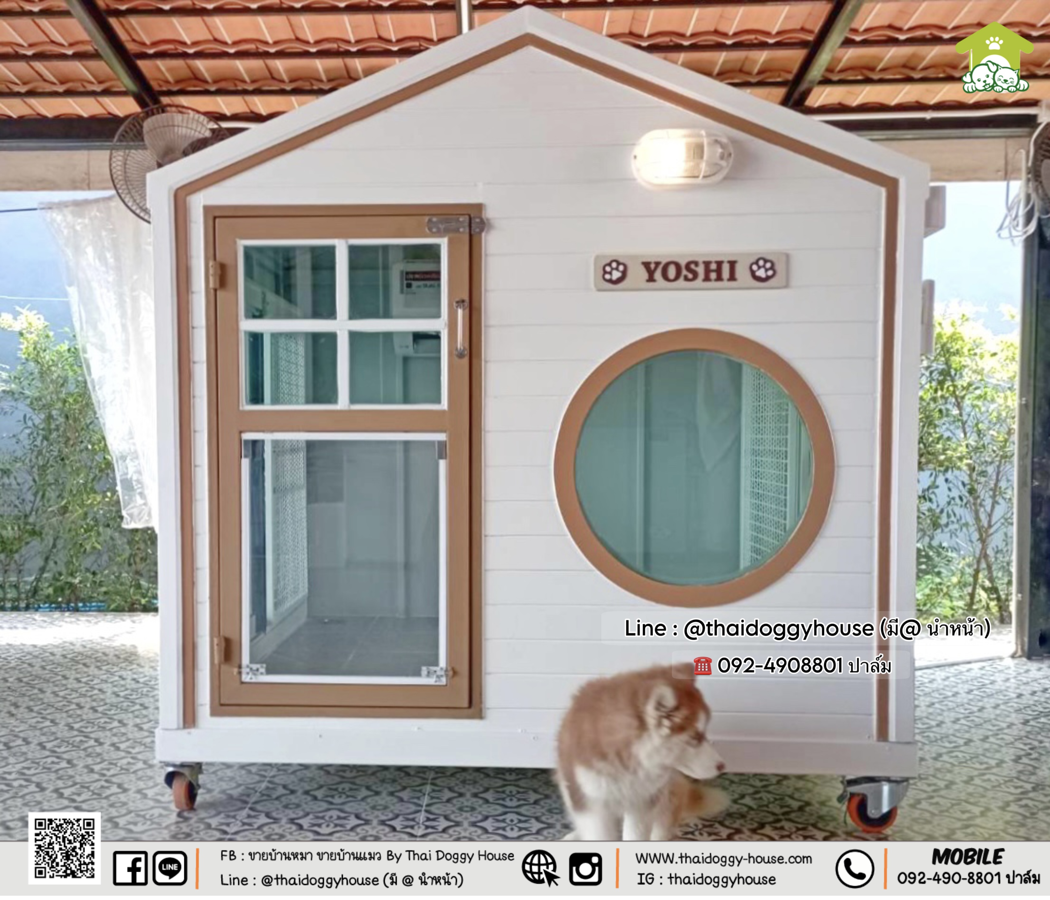 🏠 🎀" 𝗠𝗜𝗡𝗜𝗠𝗔𝗟 𝗦𝗧𝗬𝗟𝗘 " 🎀🏡 🏡 บ้านหมา บ้านแมว