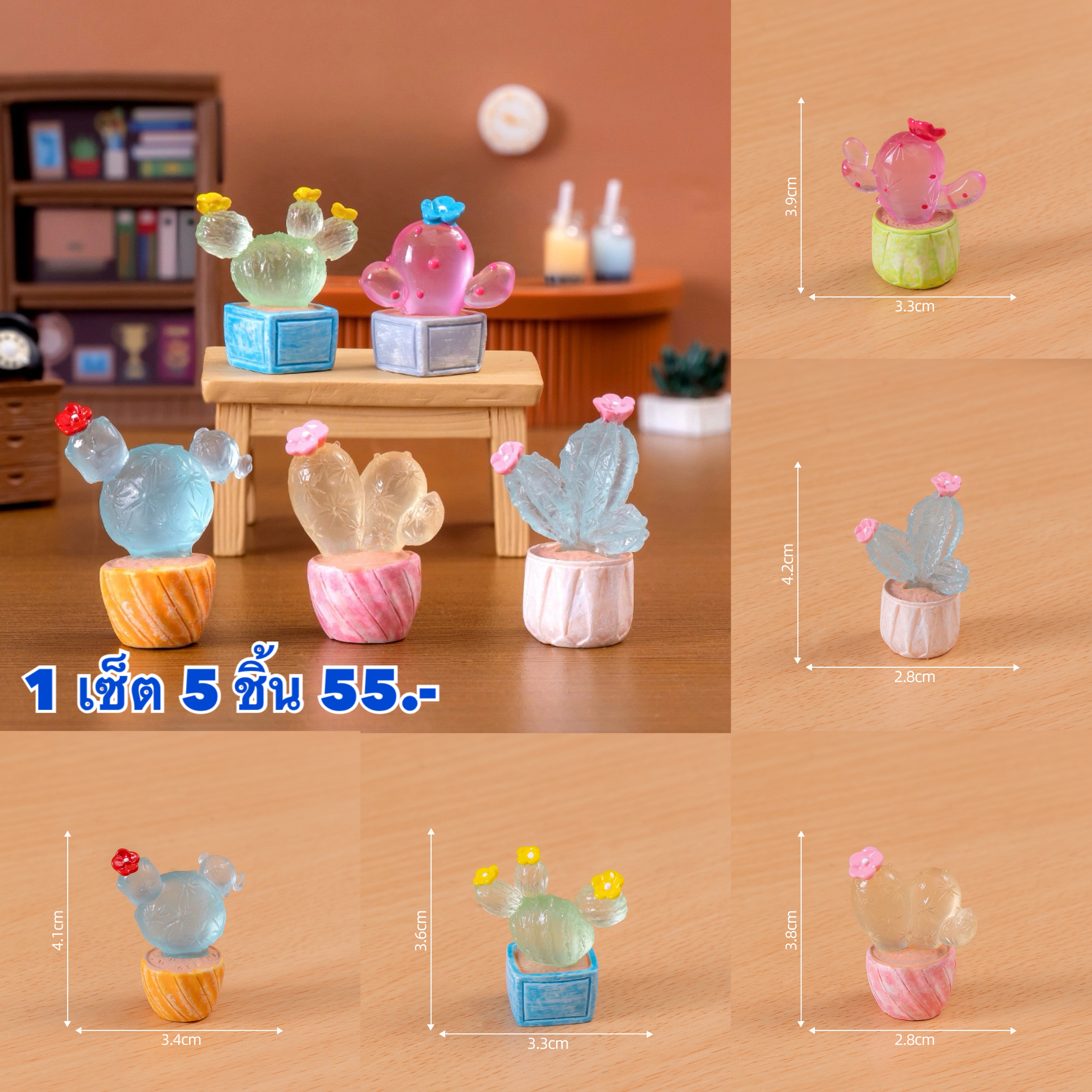 แคสตัสเรือวแสง 5 ชิ้น