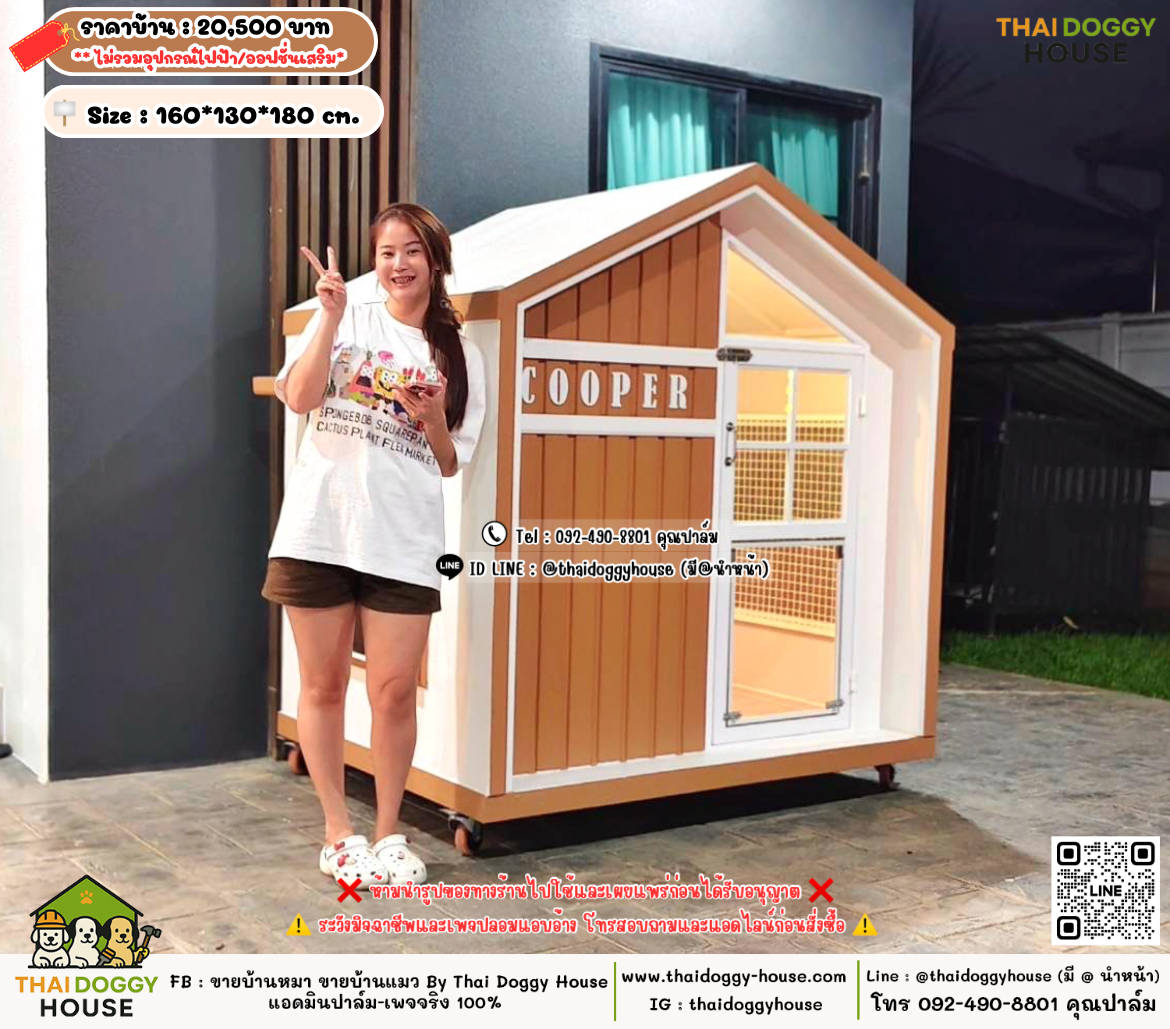 บ้านหมา บ้านแมว 𝐓𝐡𝐚𝐢 𝐝𝐨𝐠𝐠𝐲 𝐡𝐨𝐮𝐬𝗲