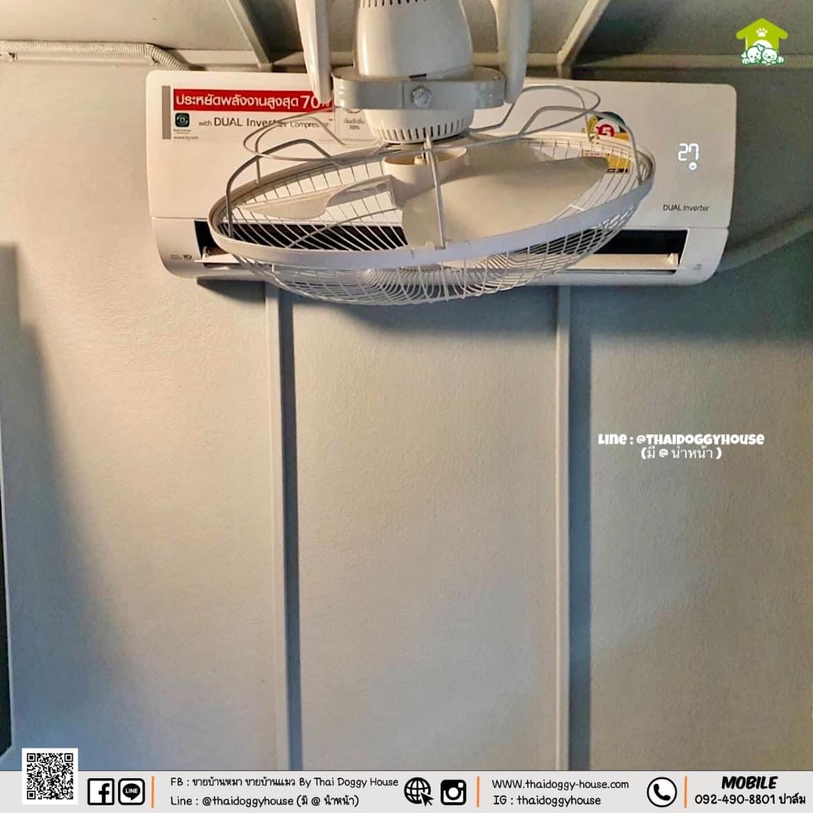 บ้านหมา บ้านแมว " 𝐁𝐎𝐗 𝐒𝐓𝐘𝐋𝐄 𝐁𝐘 𝐓𝐇𝐀𝐈 𝐃𝐎𝐆𝐆𝐘 𝐇𝐎𝐔𝐒𝐄 " &#x